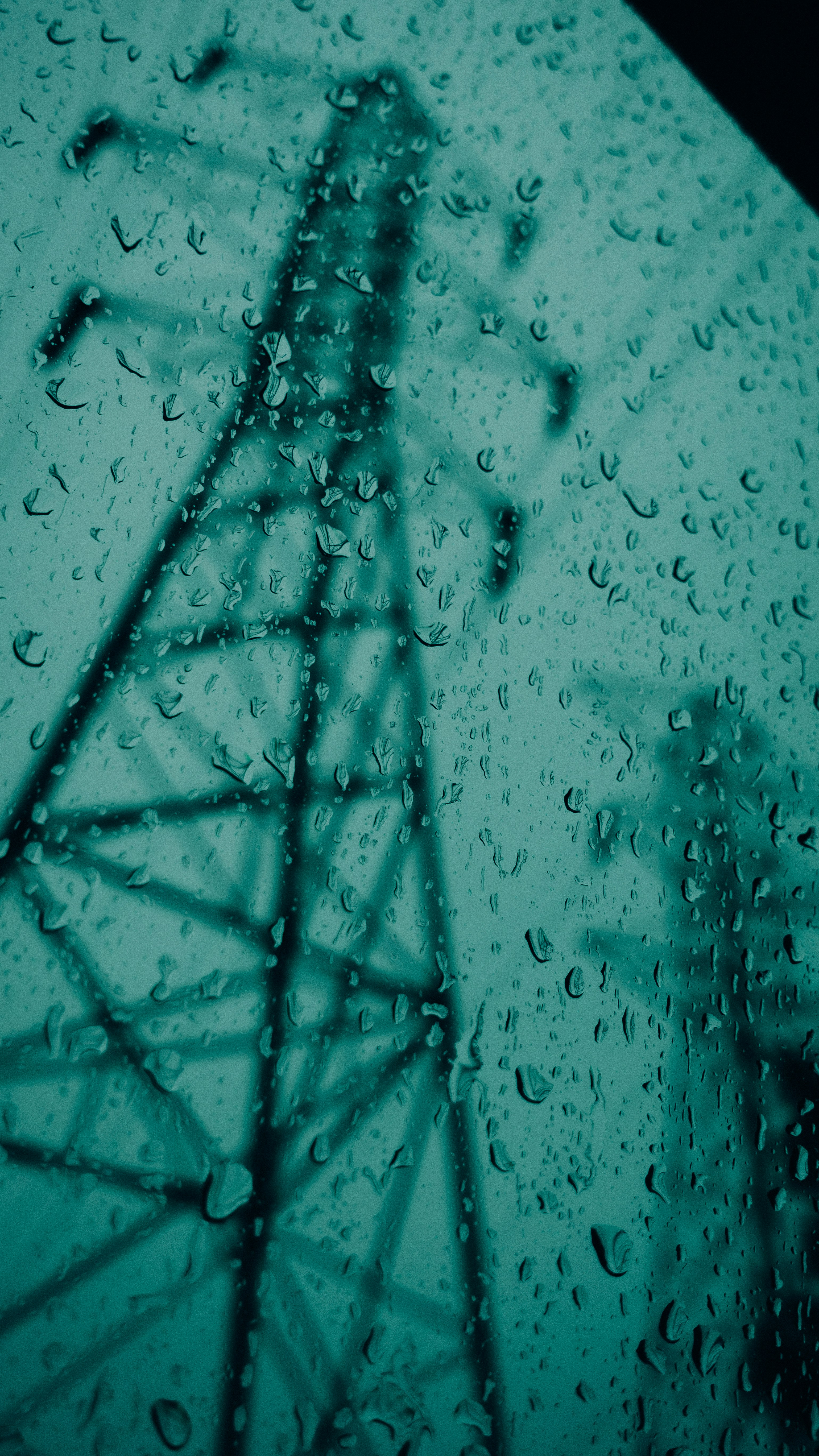 Photo by chris_lynch_