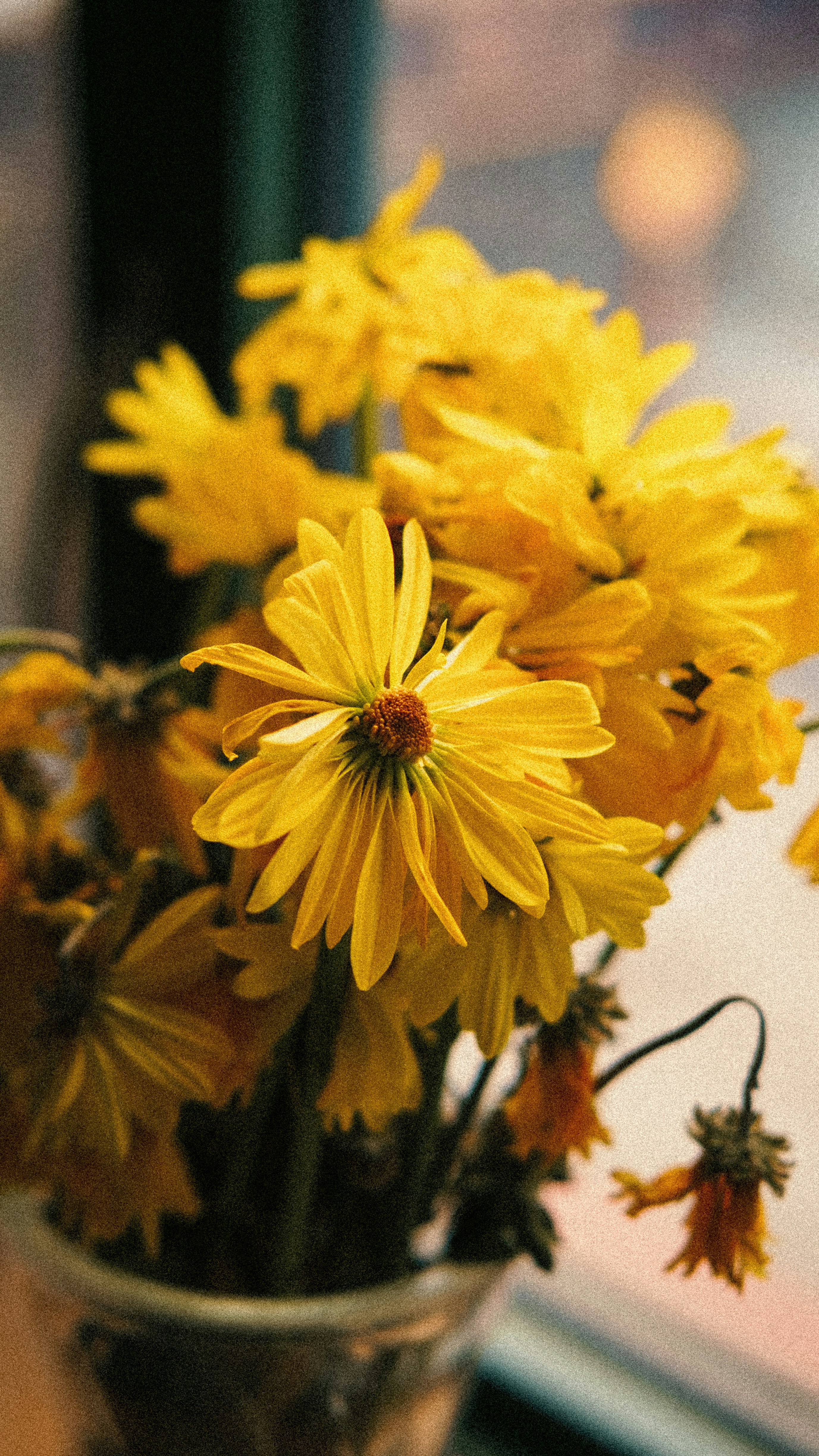 Ein Strauß welkender gelber Gänseblümchen in einer Vase.