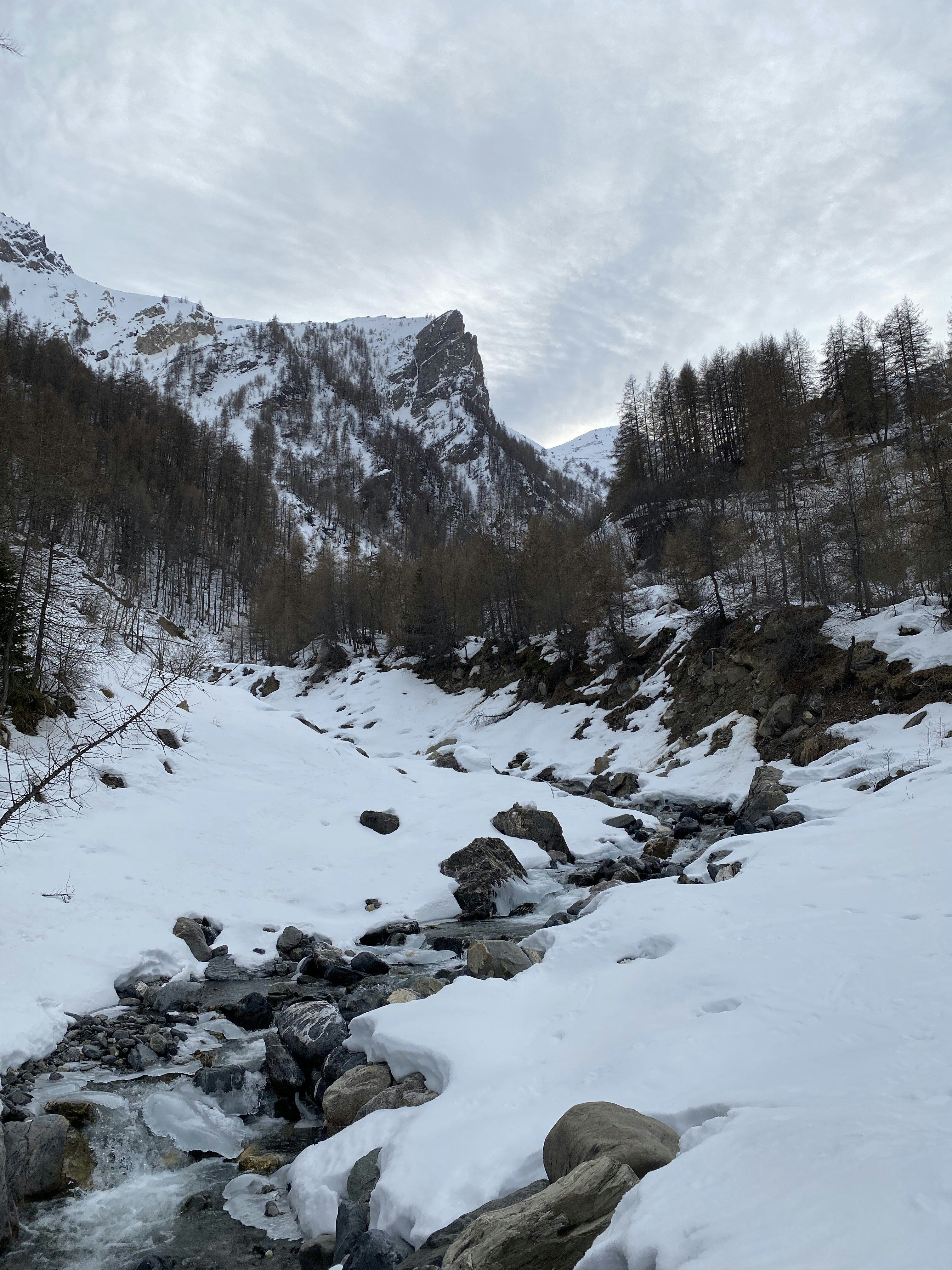 Vallée enneigée avec un ruisseau qui coule