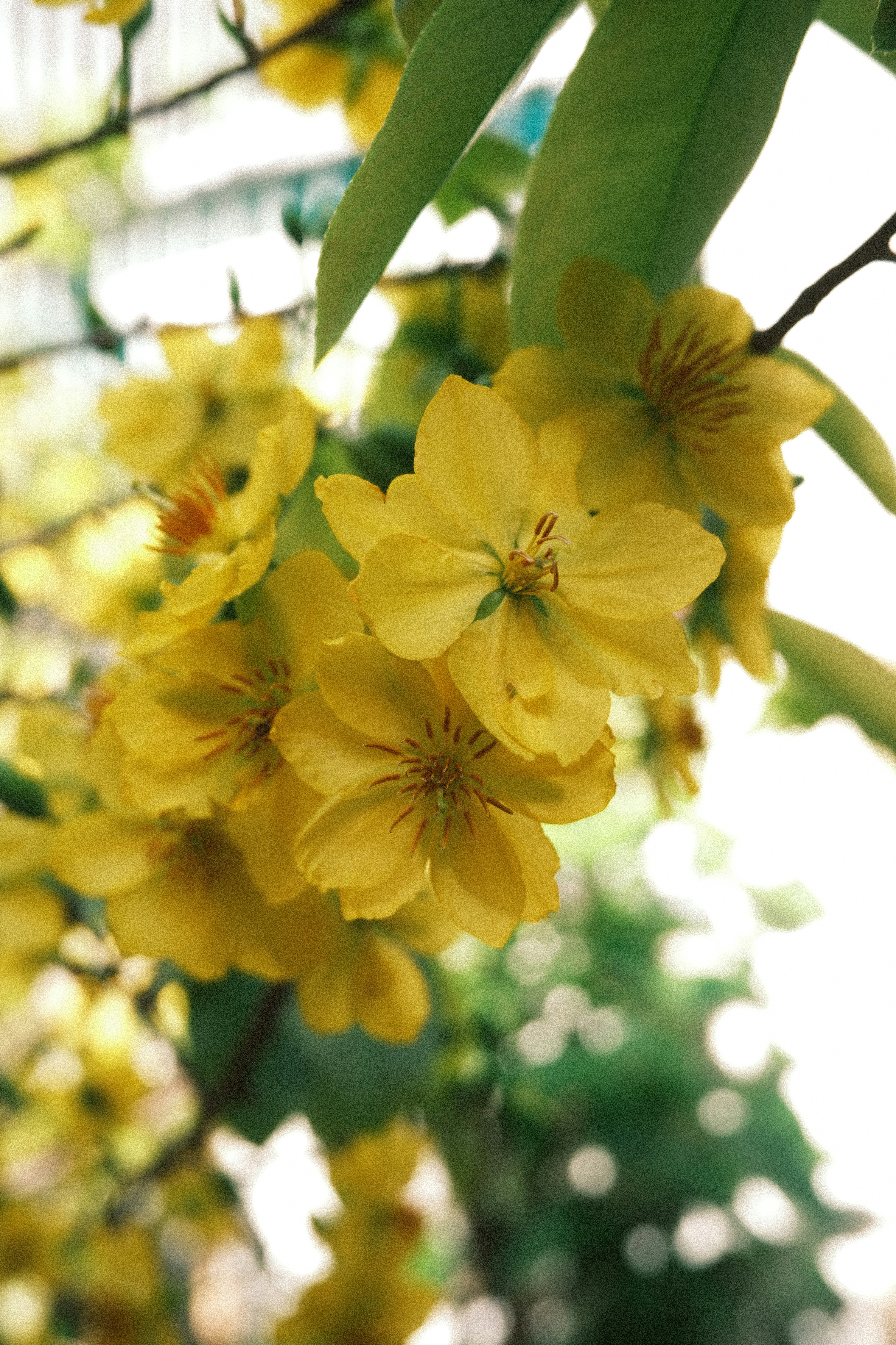 Photo by natalienpngoc