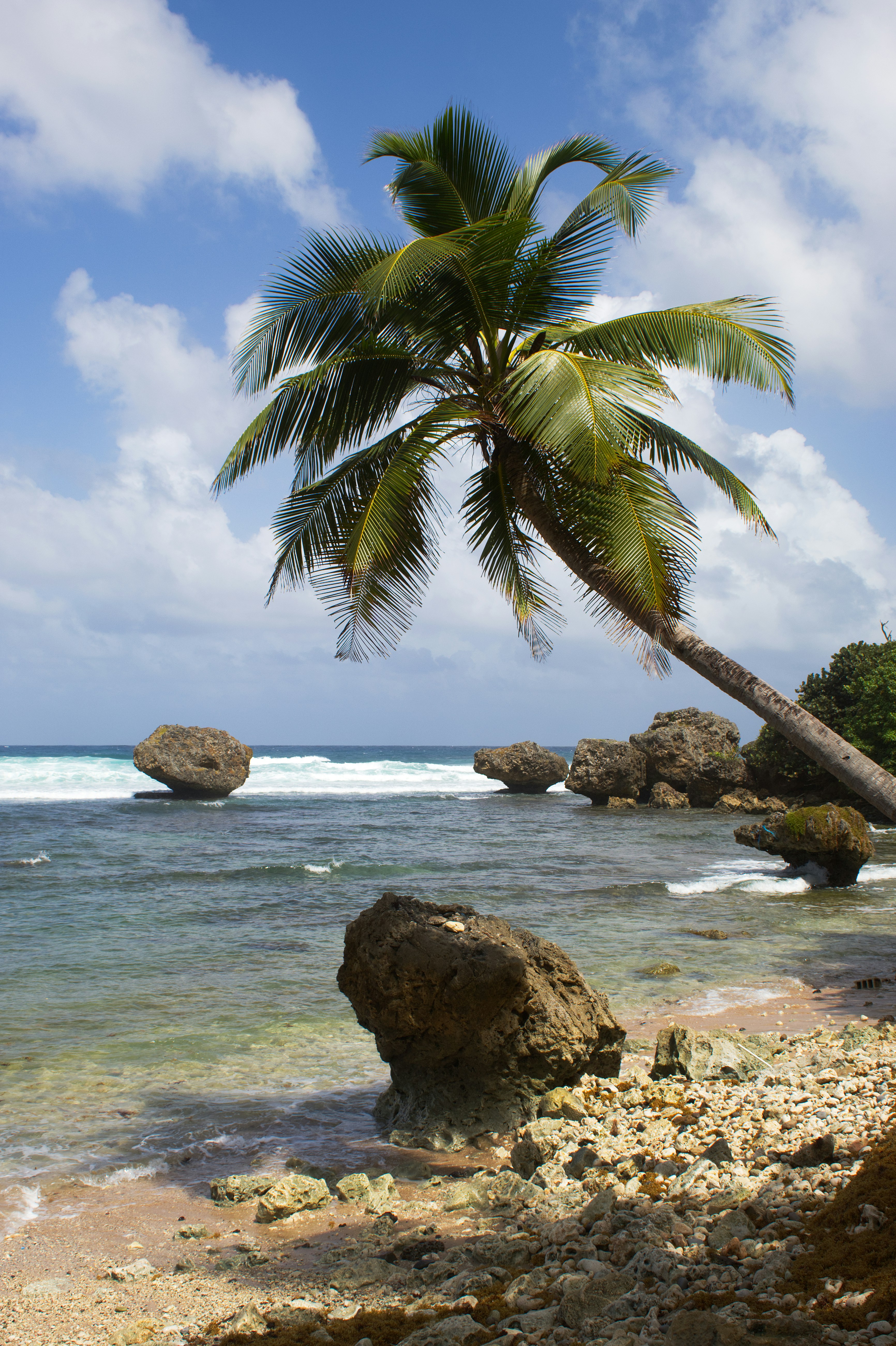 Photo by spaceboundstudio