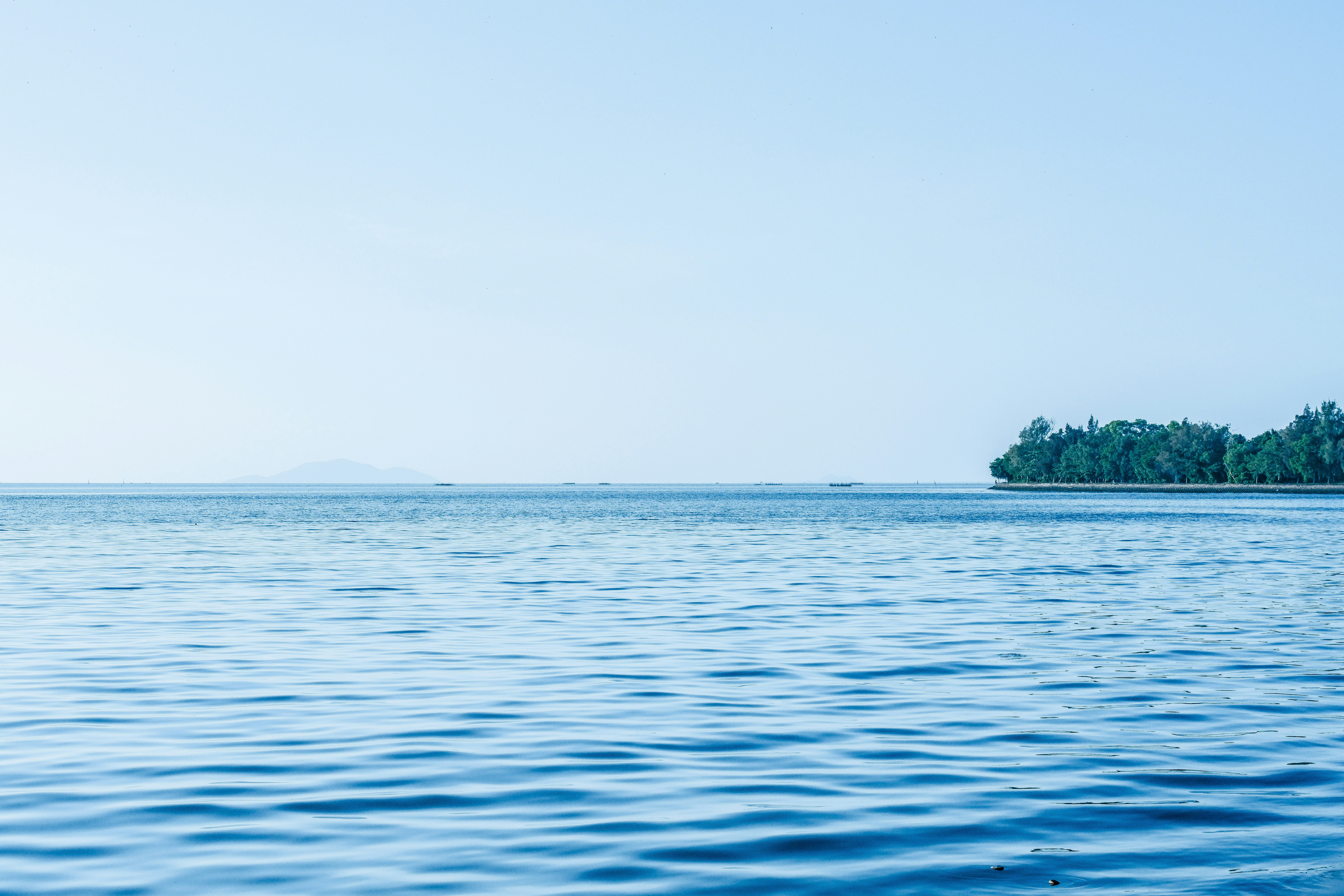 Photo by phuocsangvn