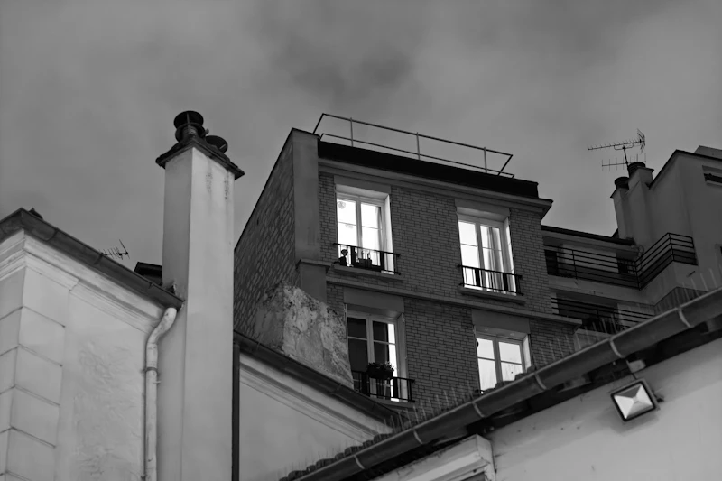 Fotografie: acoperișuri și coșuri din Paris, cu ferestre luminate, sub un cer înnorat
