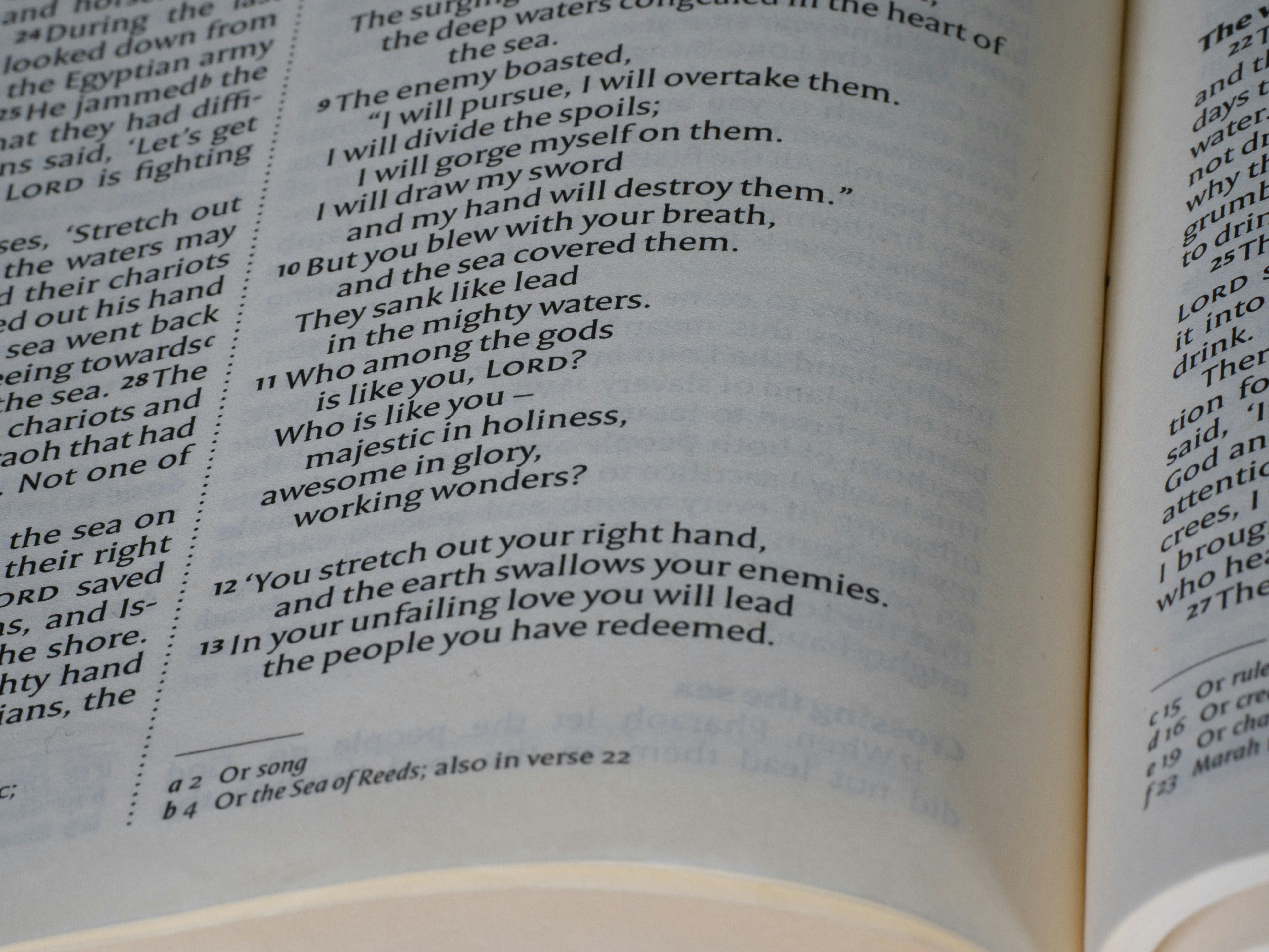 Close-up of an open book with text on pages.