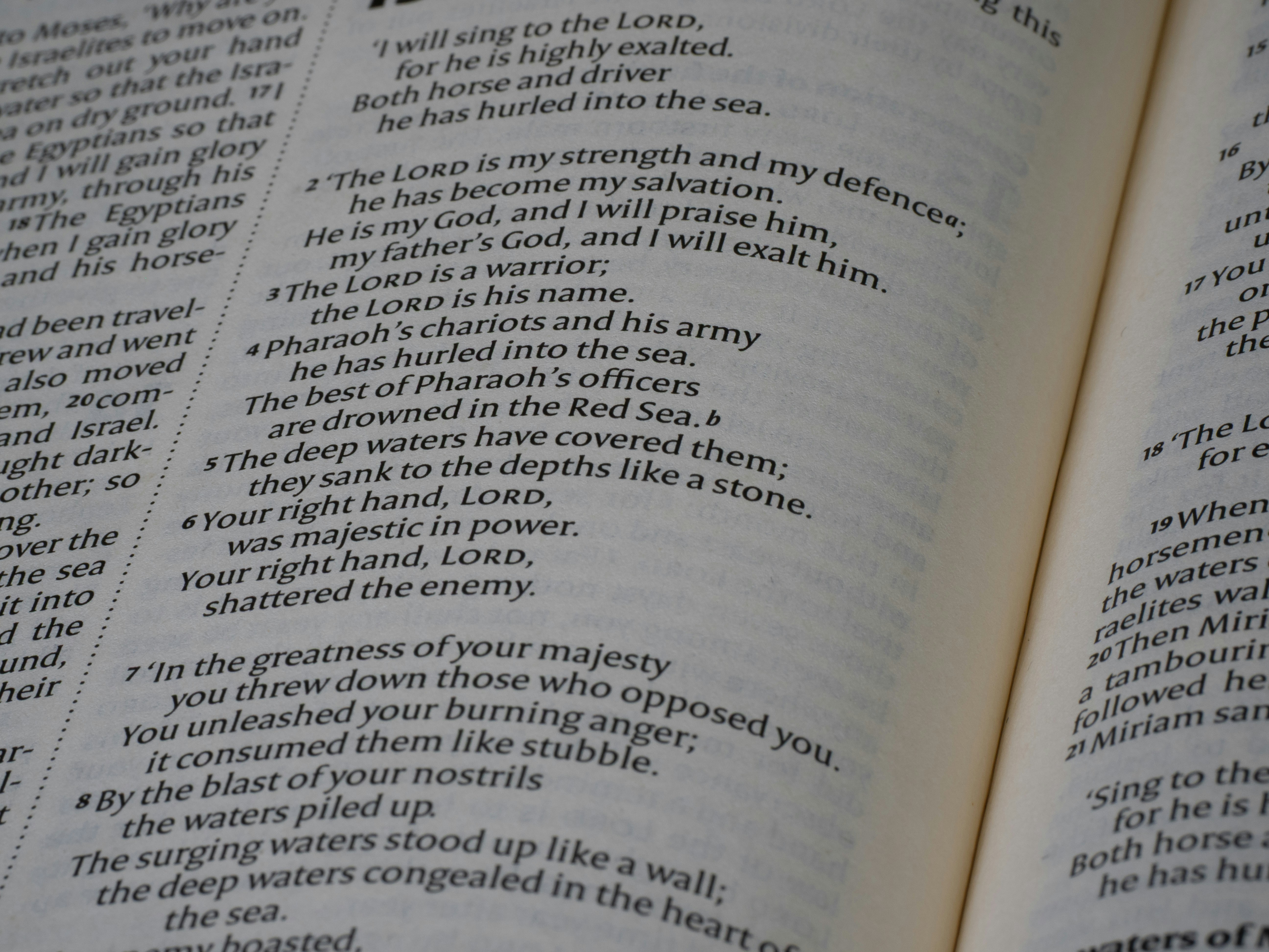 Close-up of open book with text on pages.