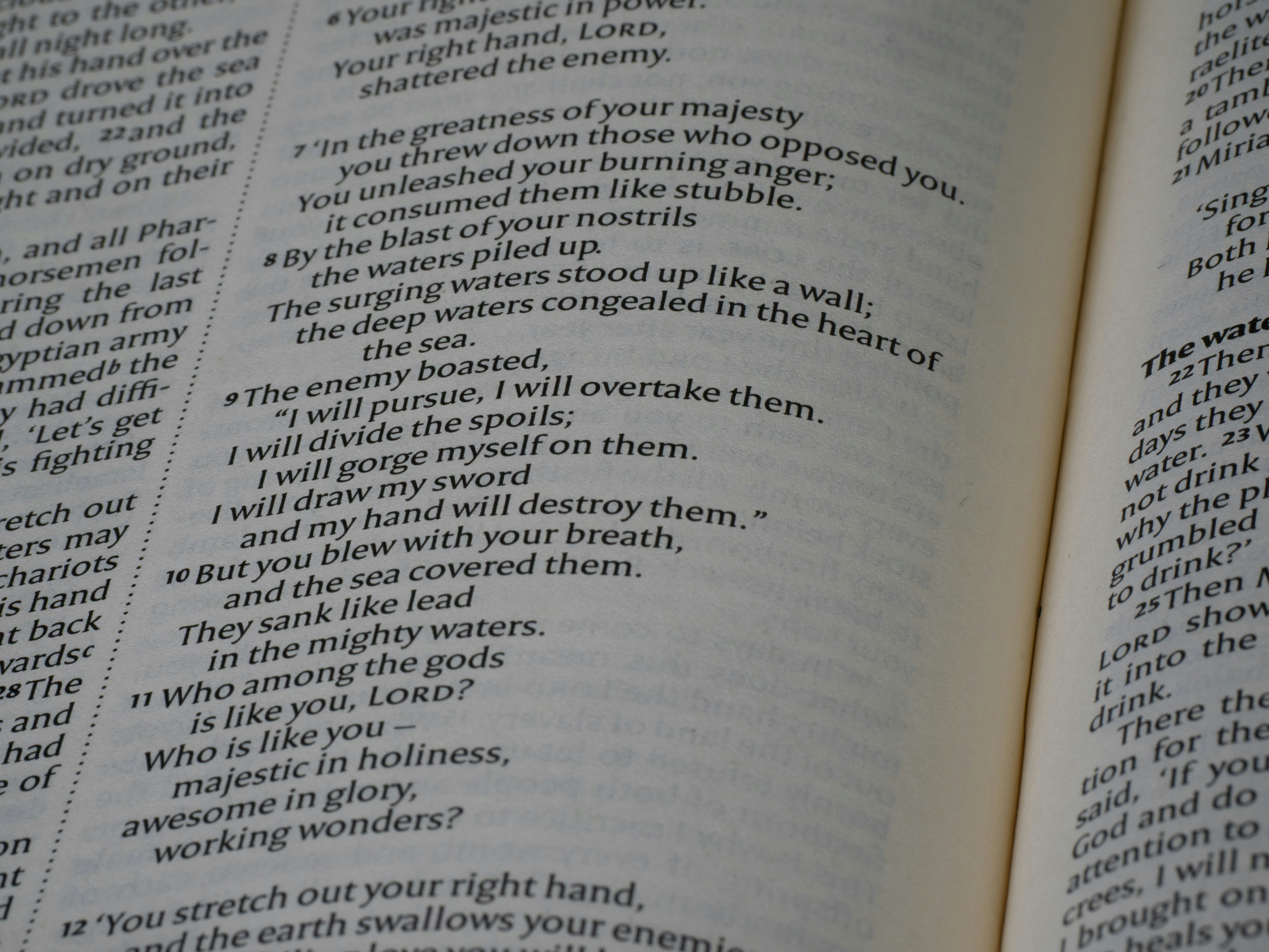 Close-up of an open book with text.