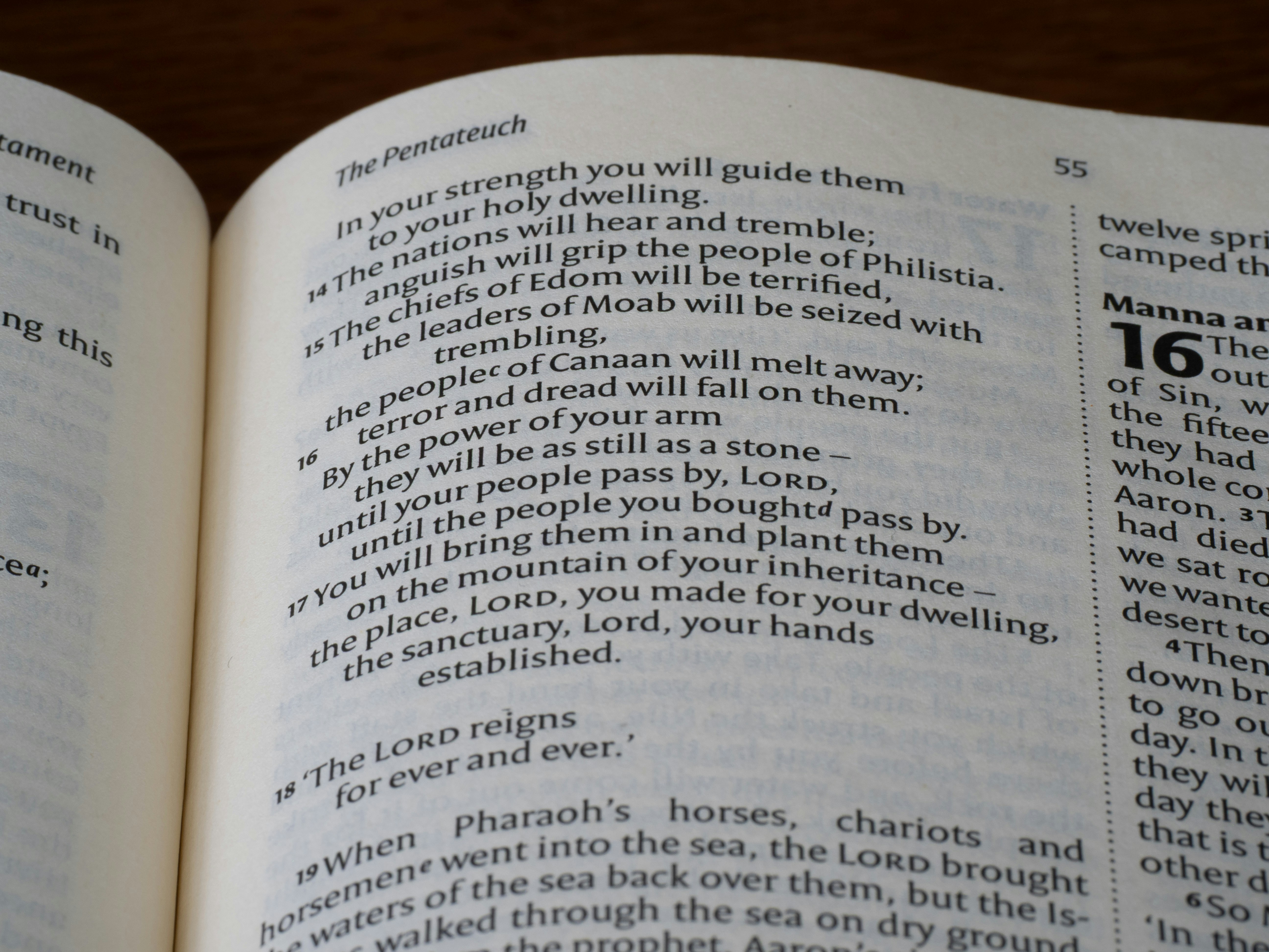 Close-up of an open book with text on pages.