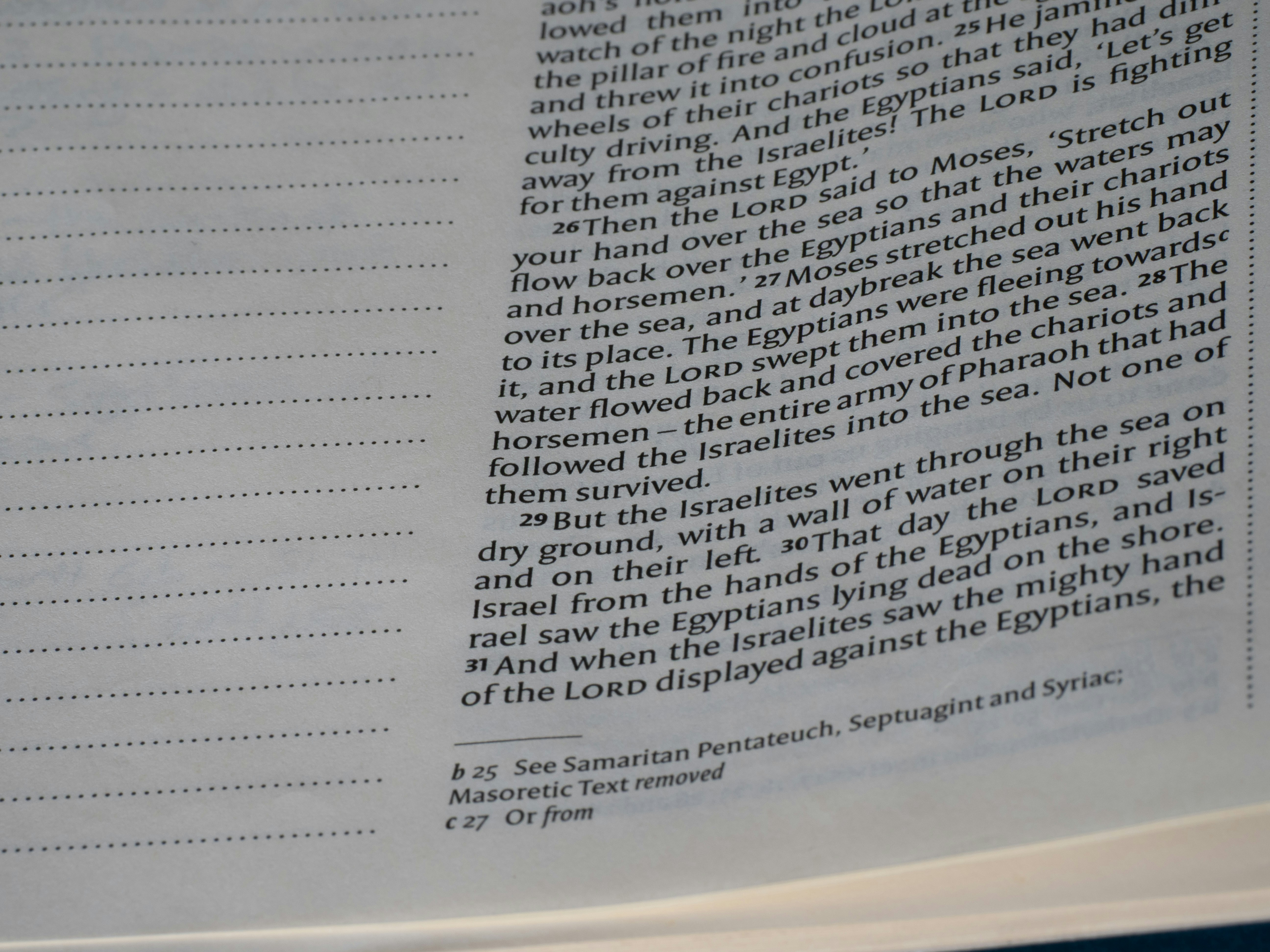 Close-up of text on a page with lines.