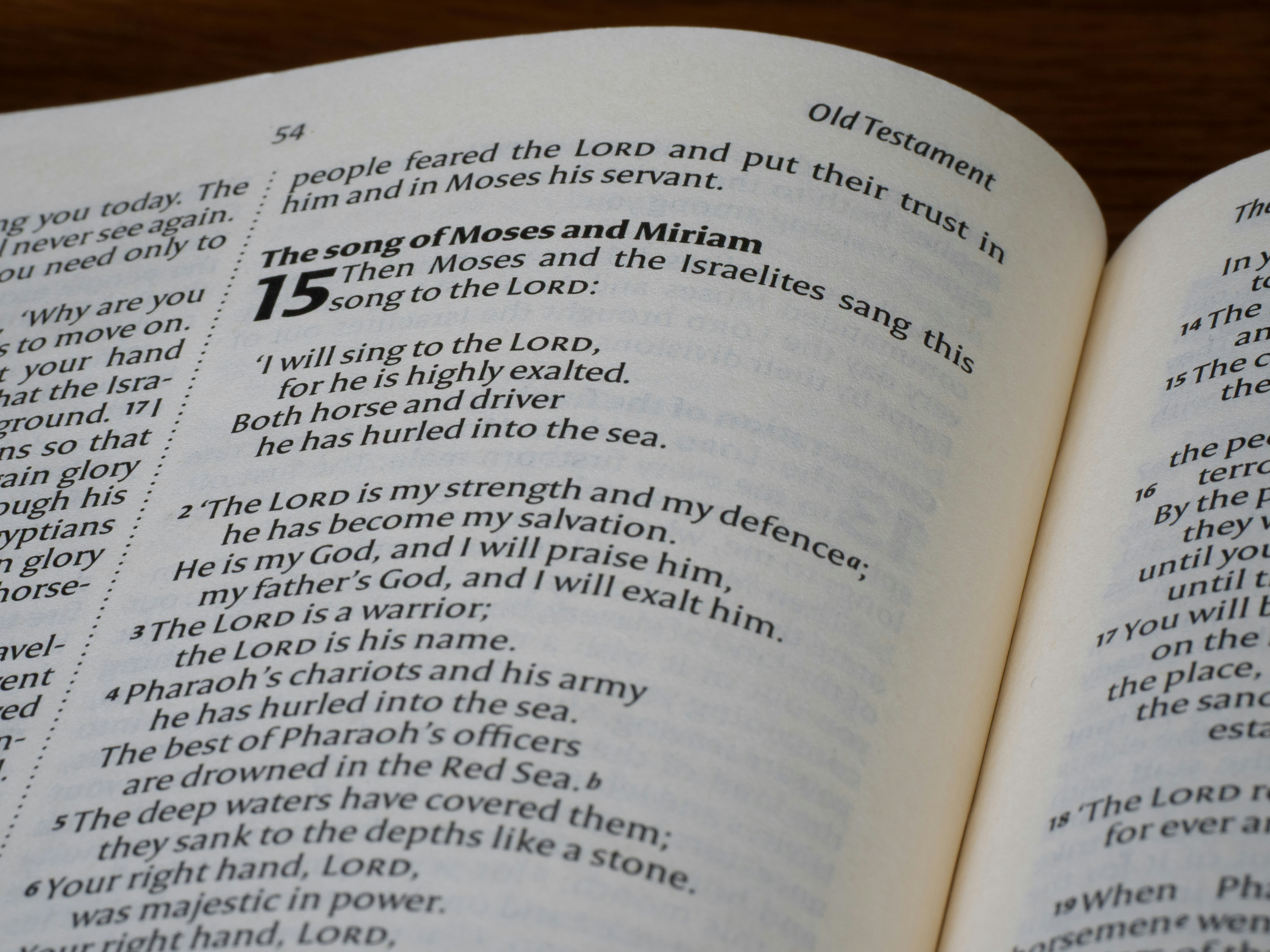 Close-up of an open book with text.