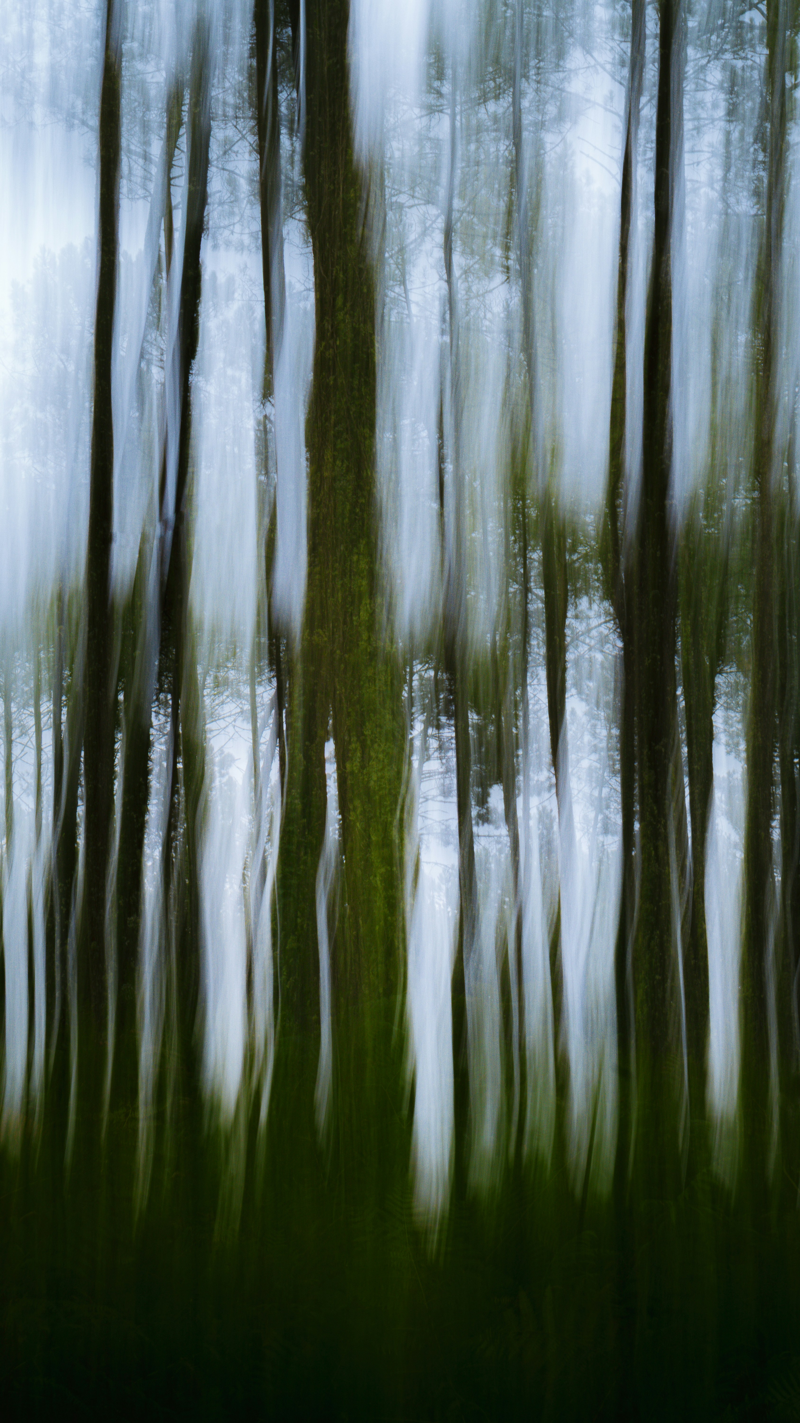 Photo by lucadamantium