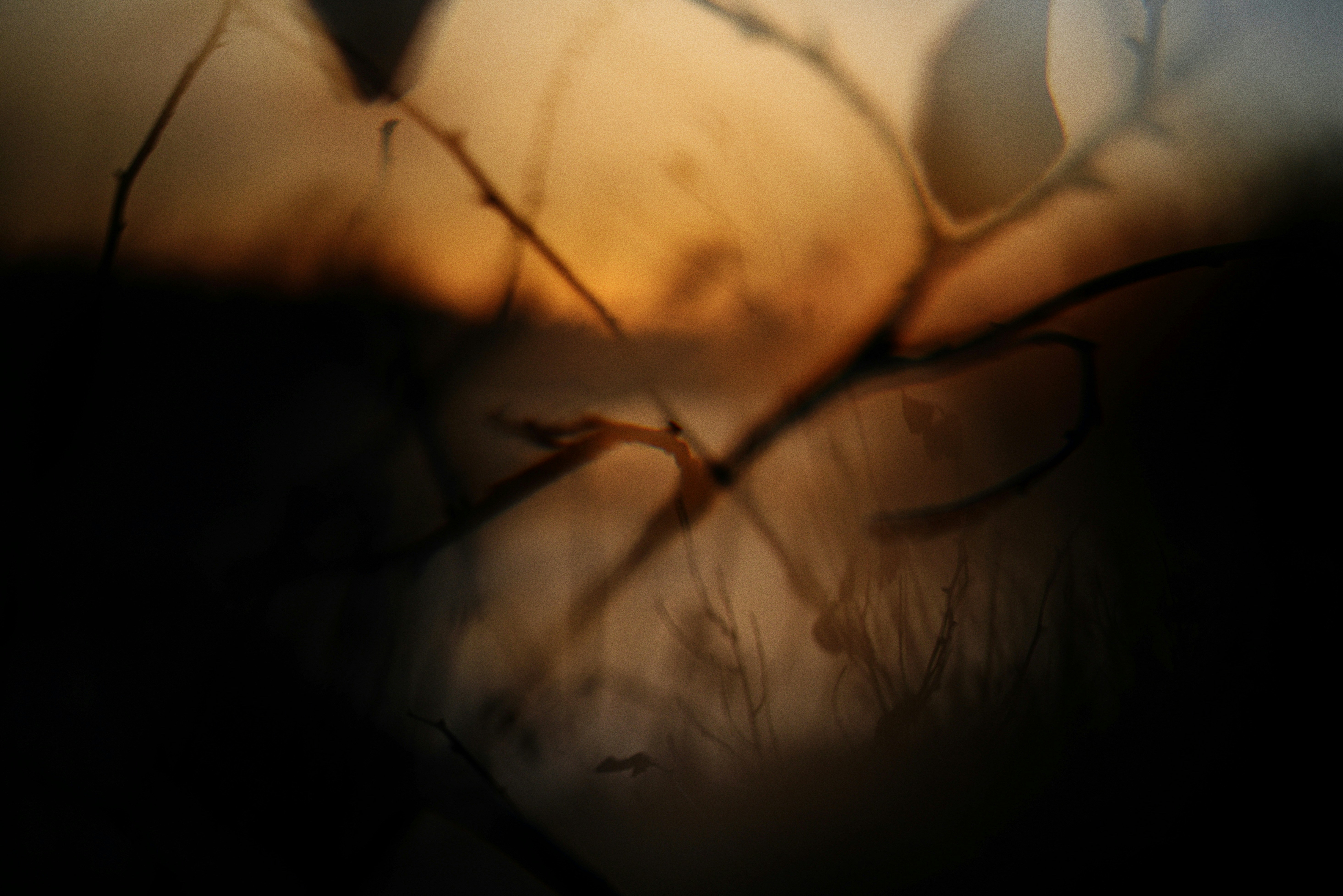 Photo by cherstve_pechivo