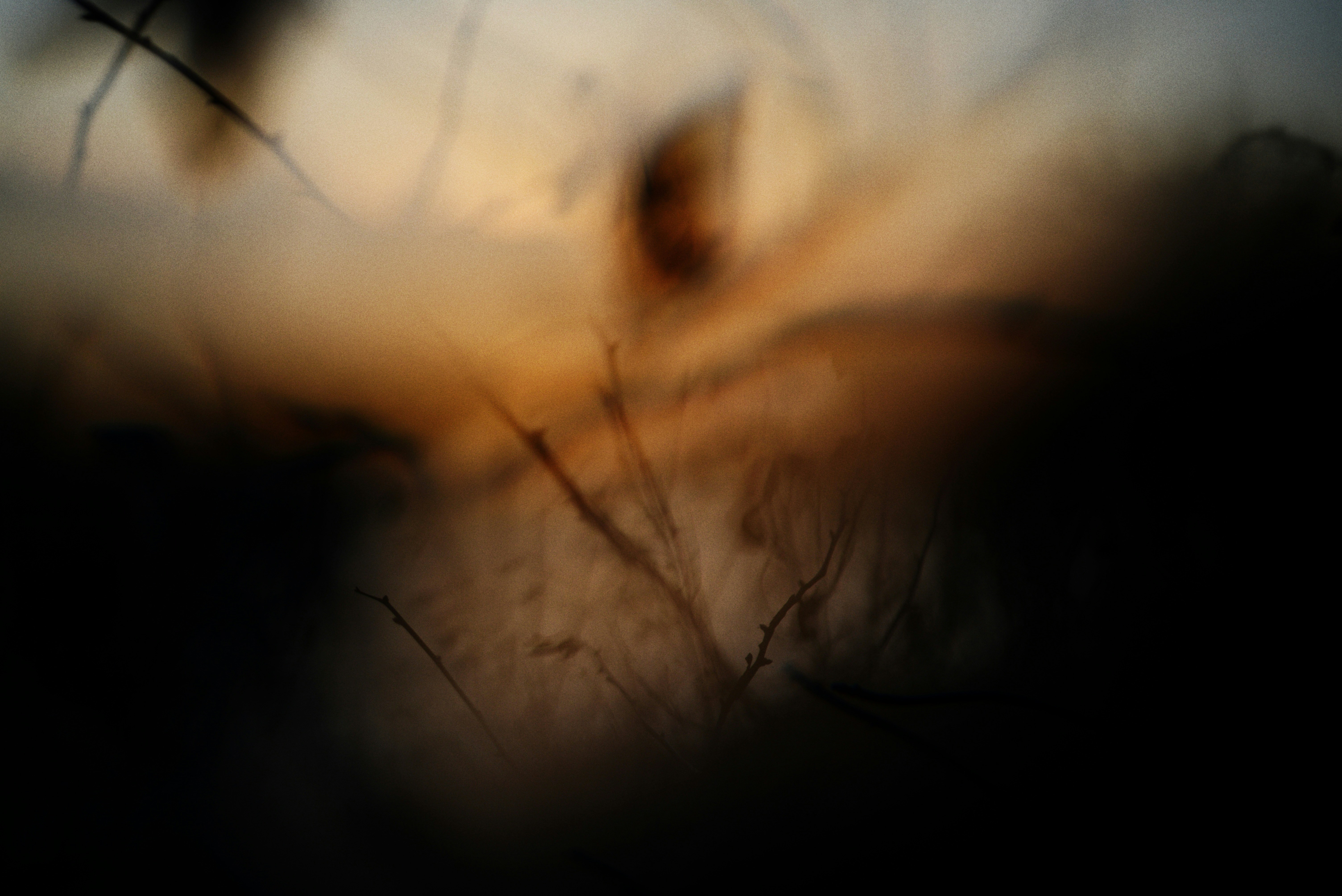 Photo by cherstve_pechivo