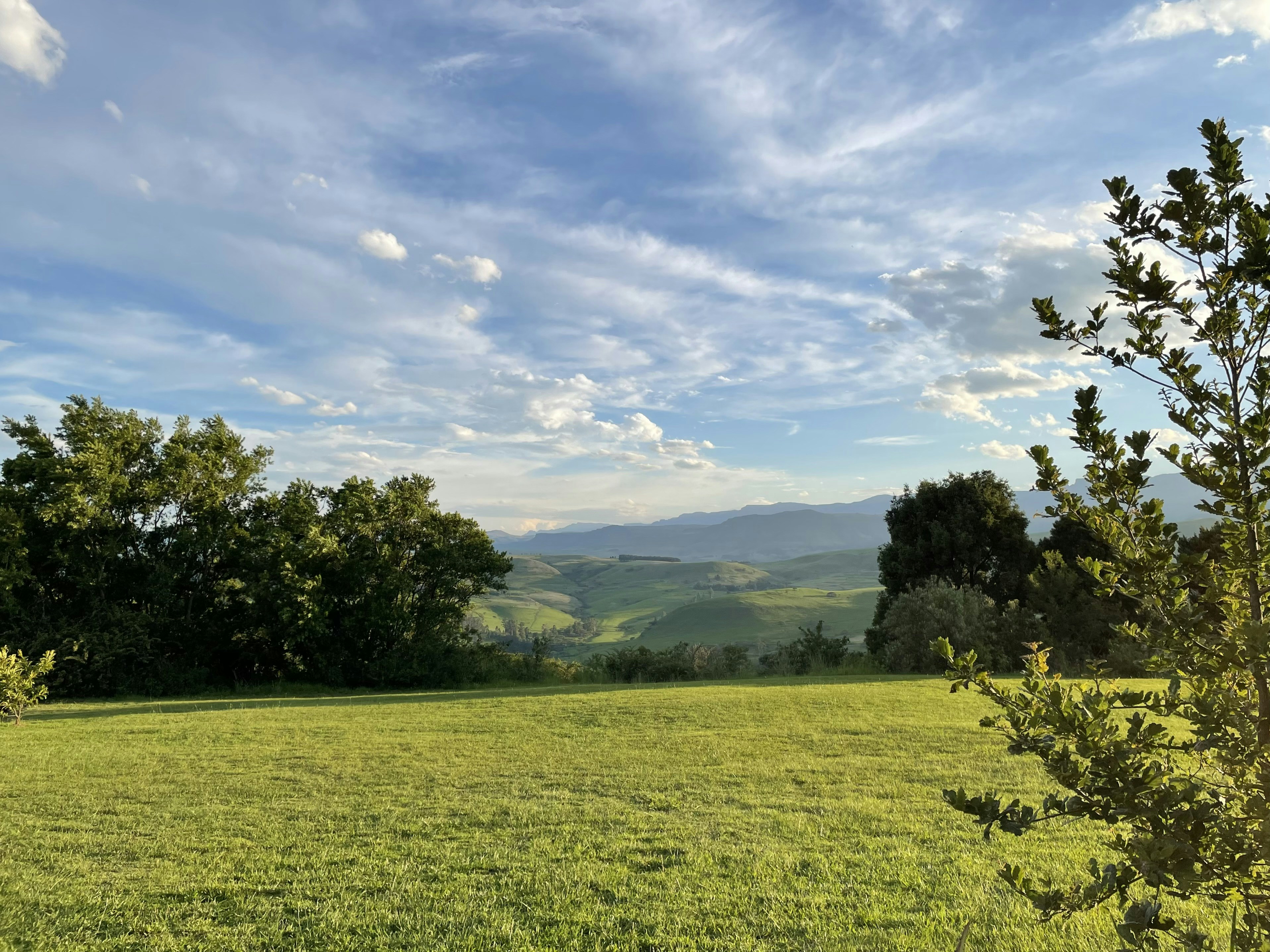 Photo by archer0011_