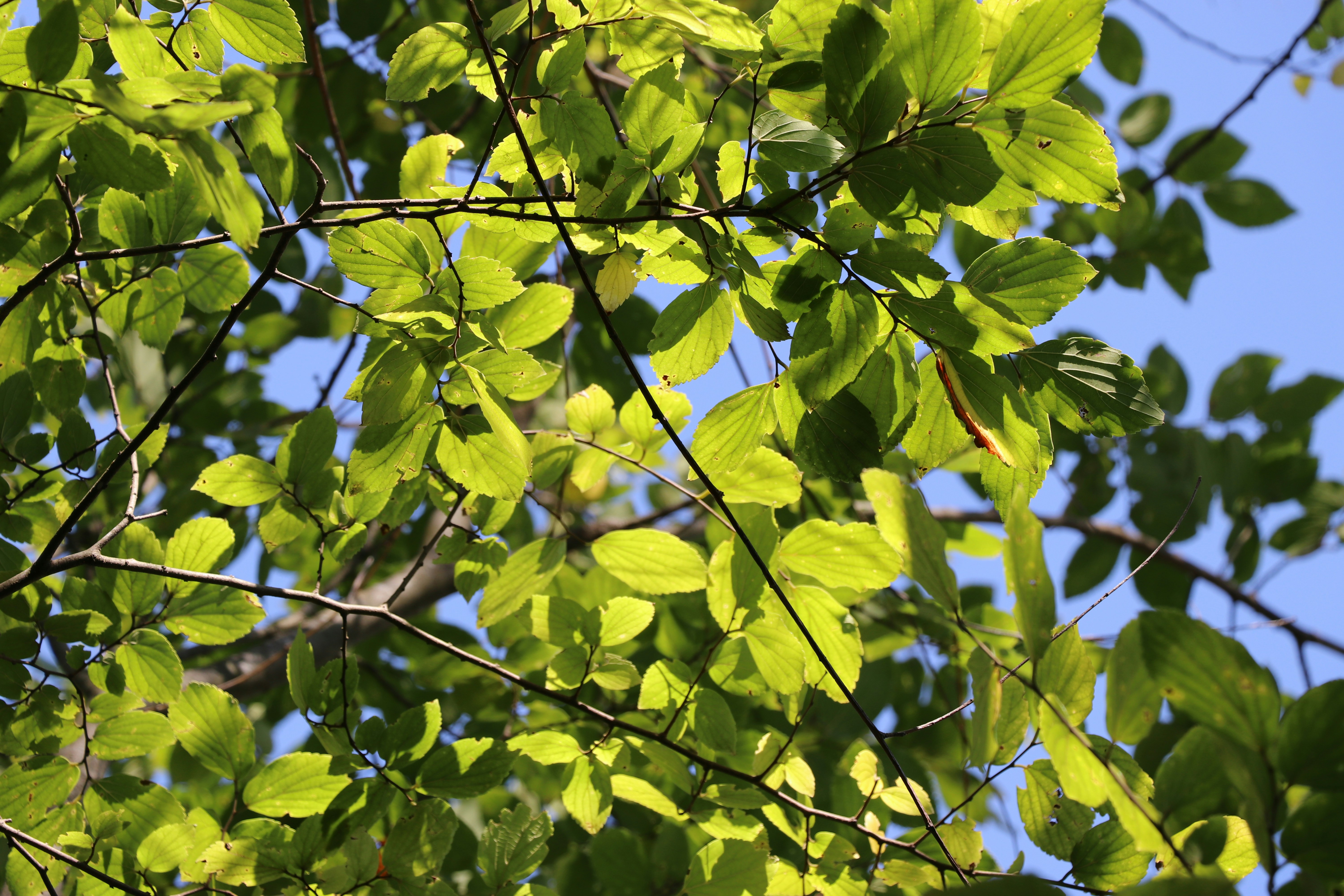 Photo by archer0011_