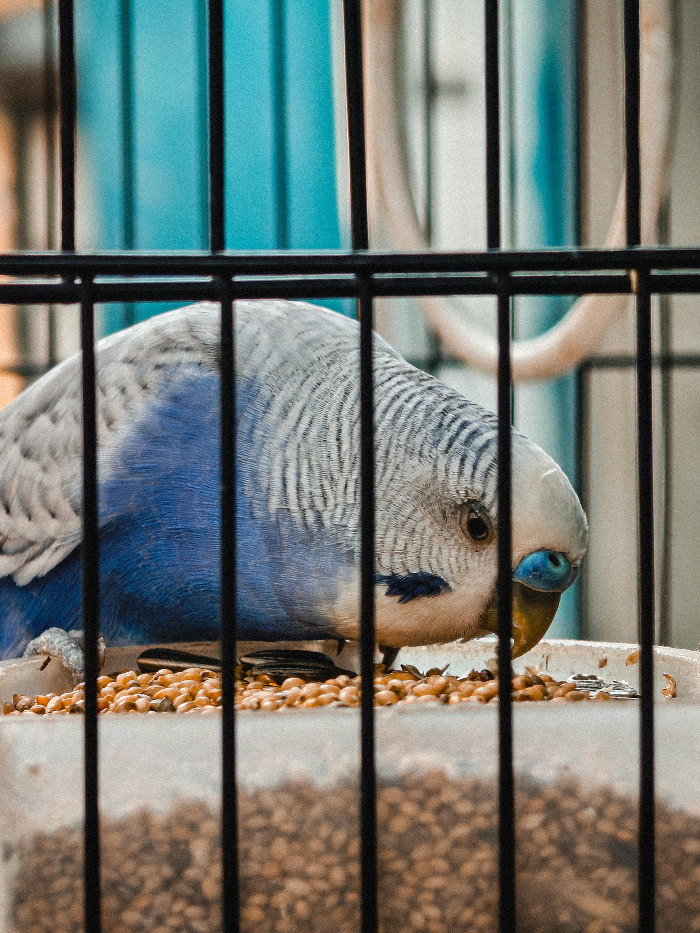 Photo by 5zantrigger