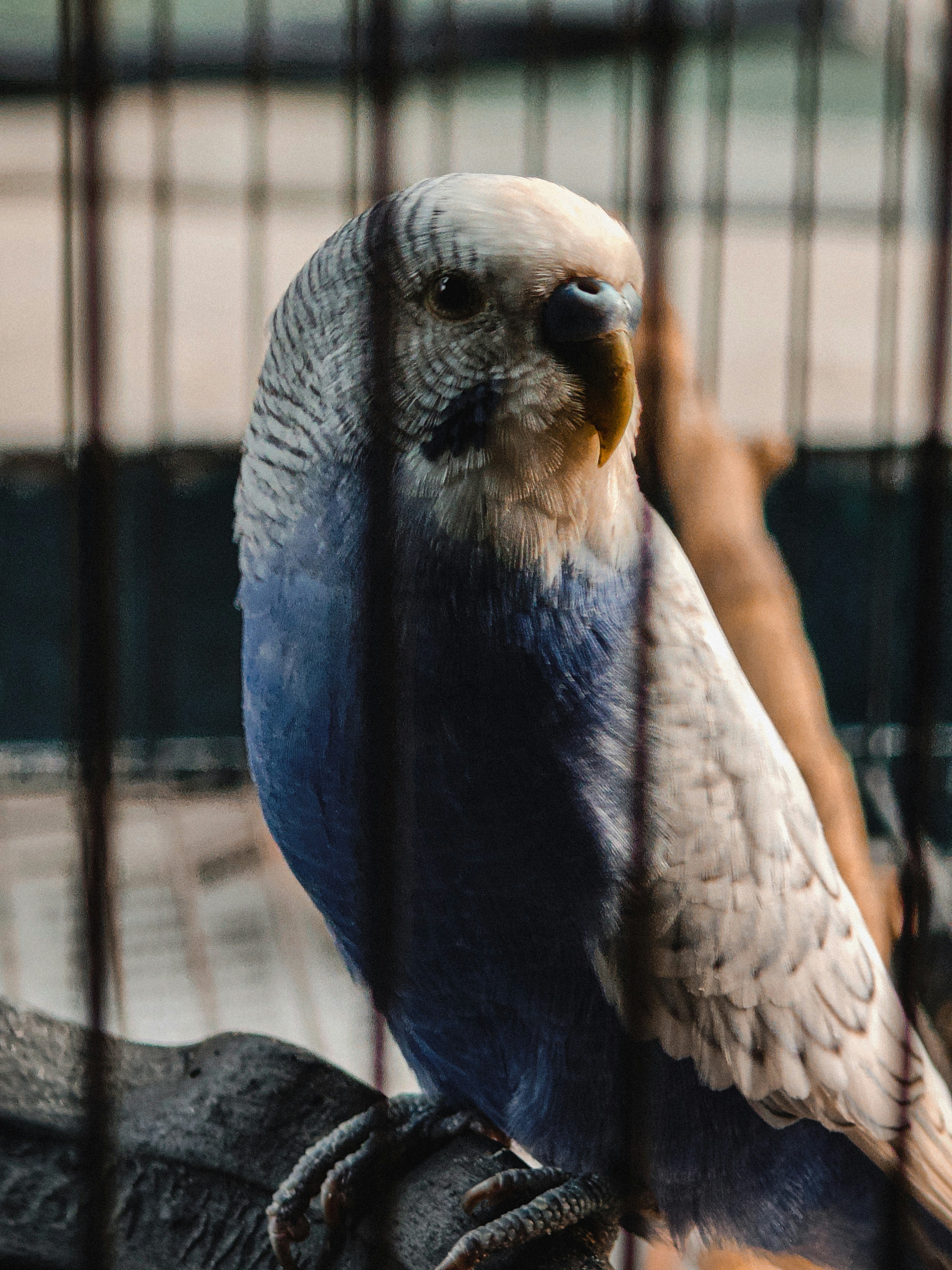 Photo by 5zantrigger