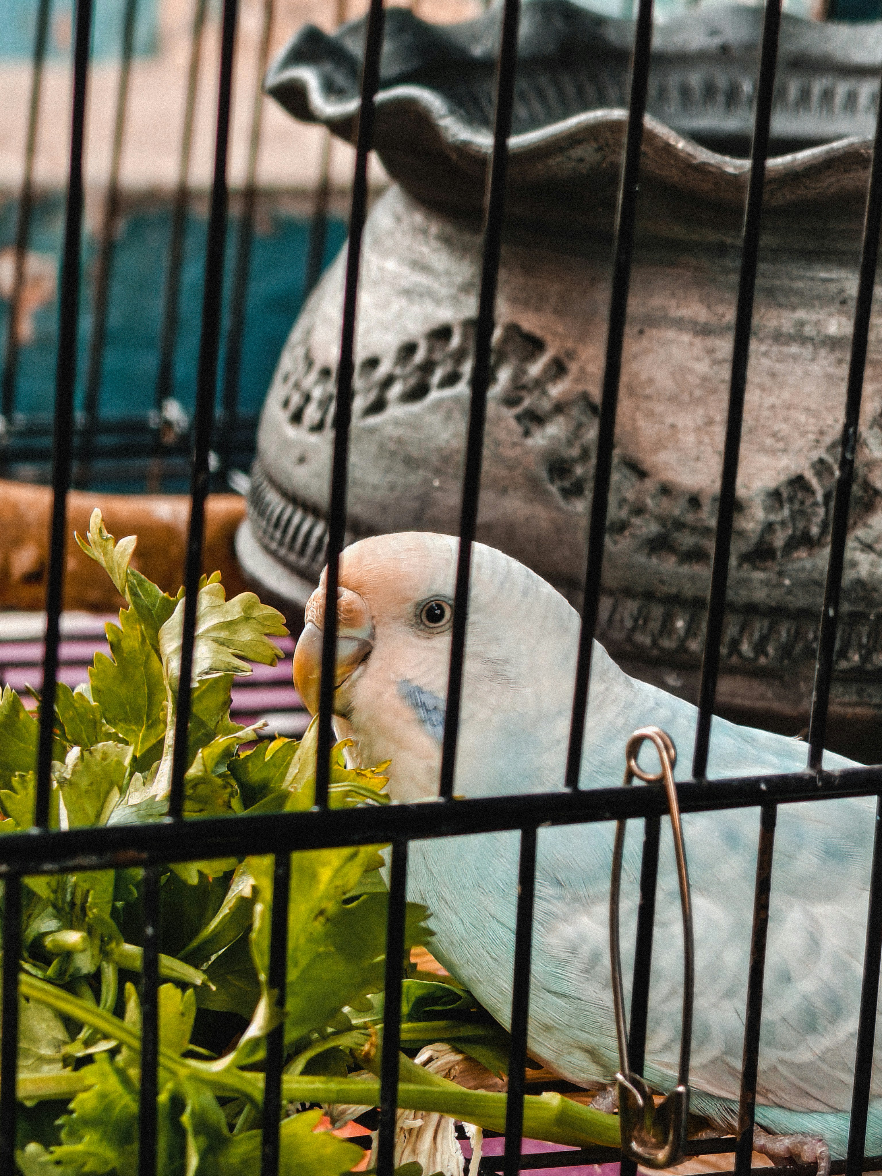 Photo by 5zantrigger