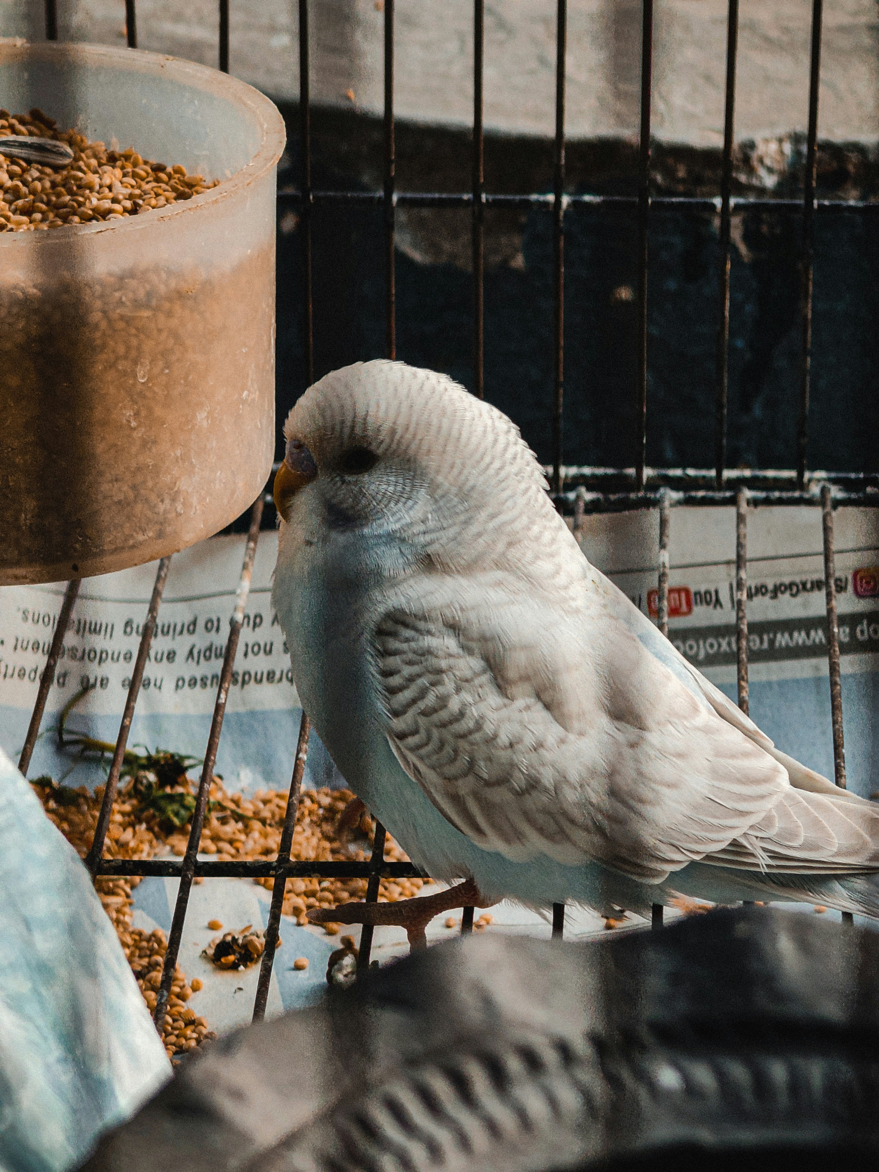 Photo by 5zantrigger