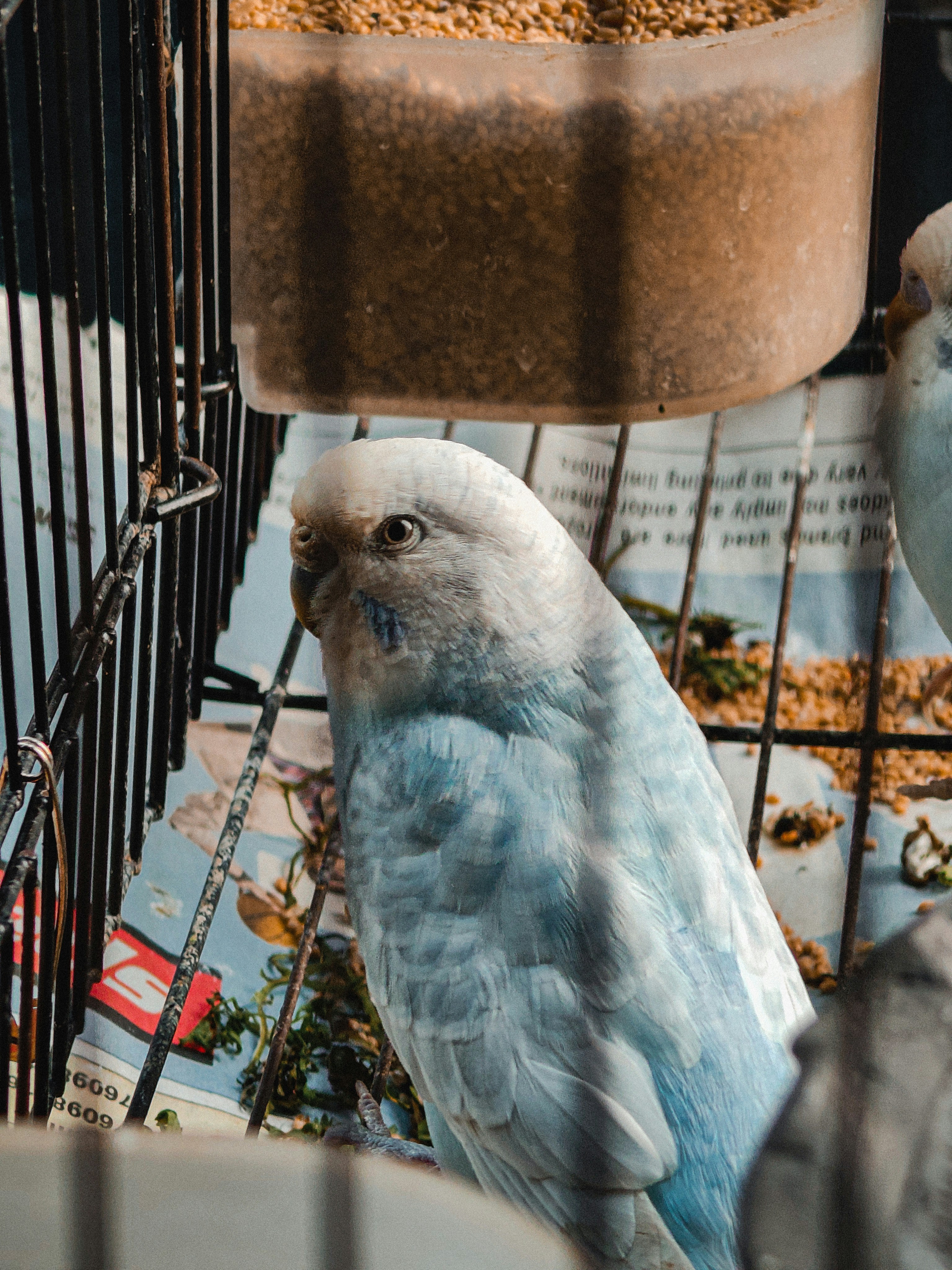 Photo by 5zantrigger