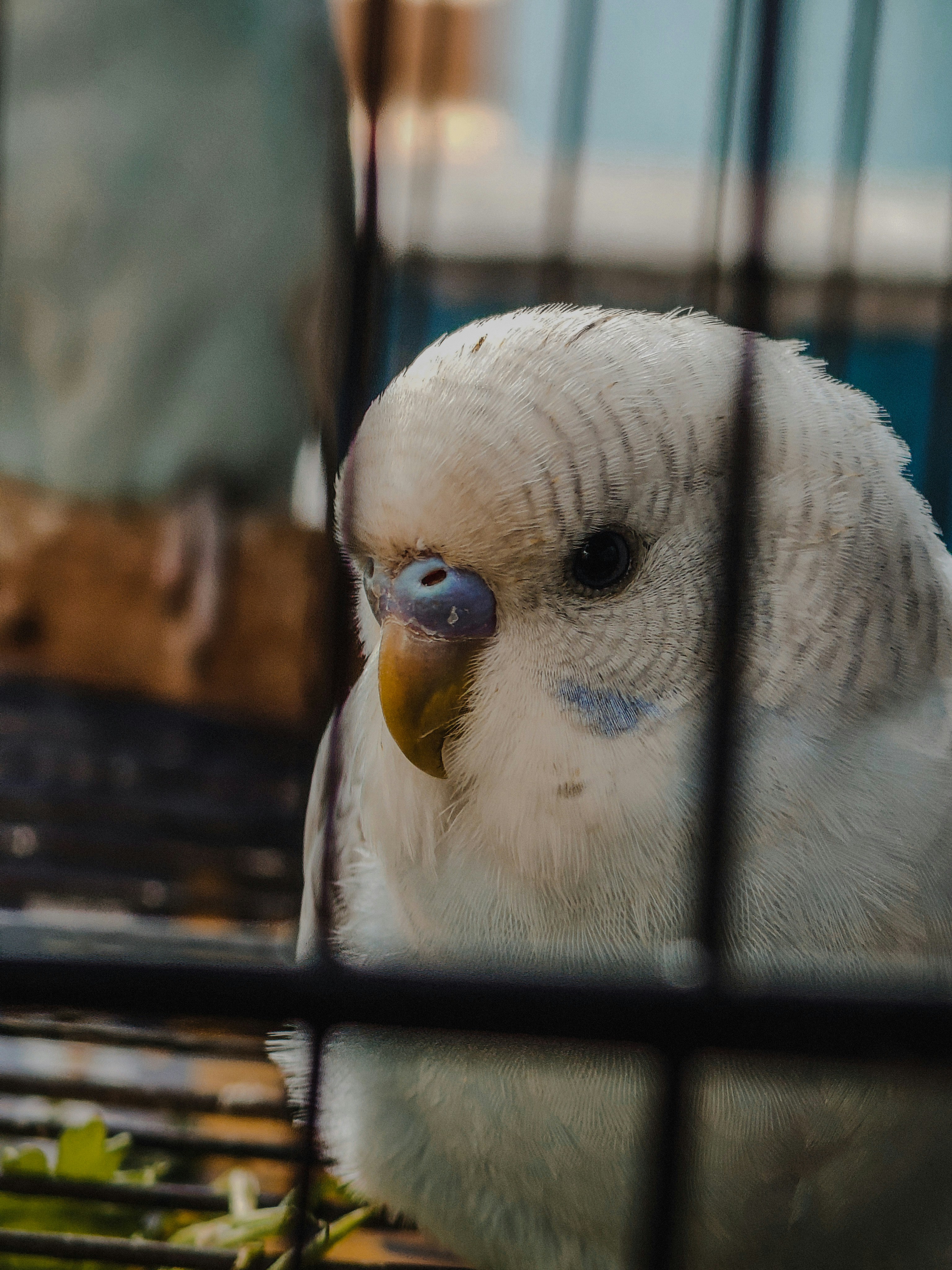 Photo by 5zantrigger