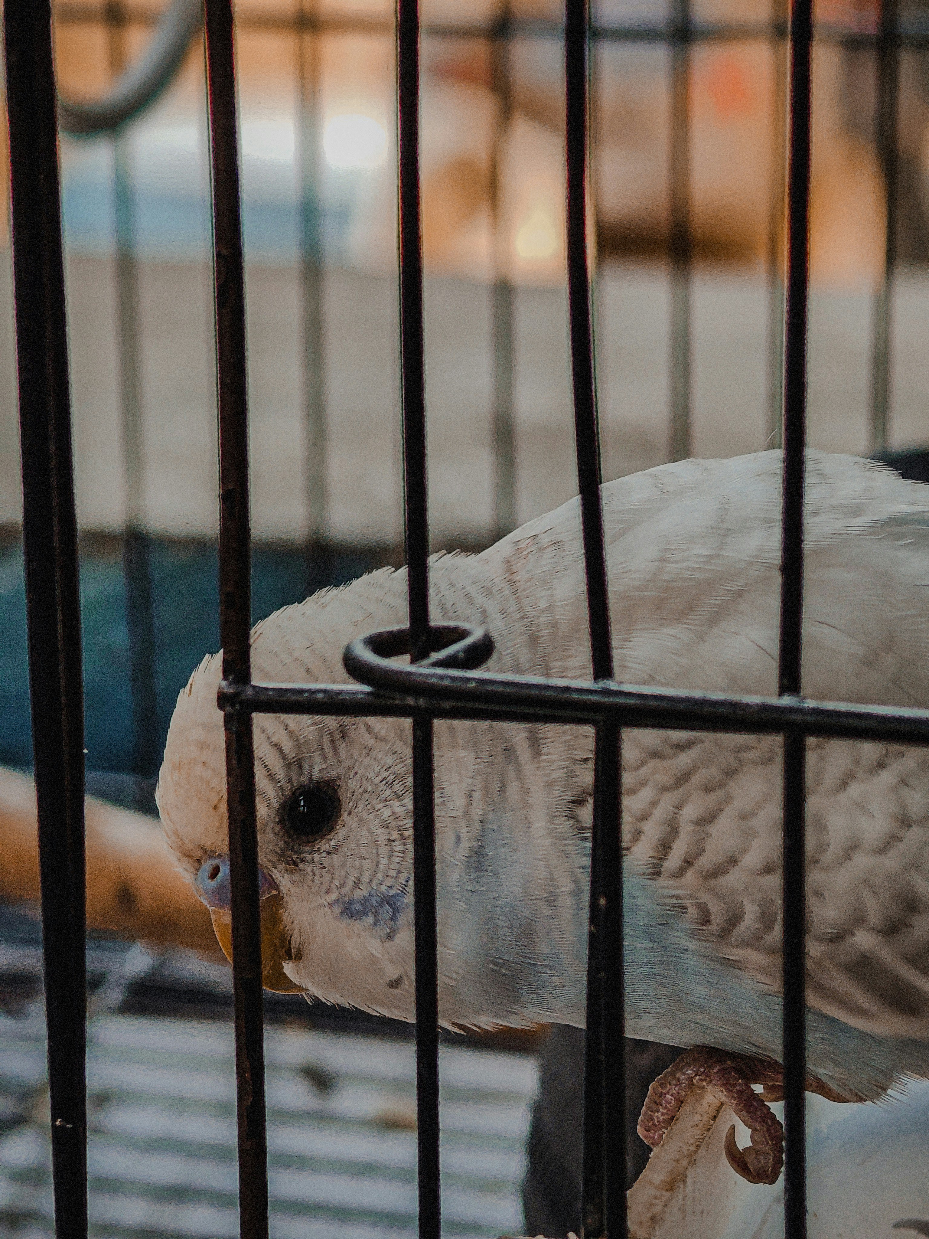 Photo by 5zantrigger