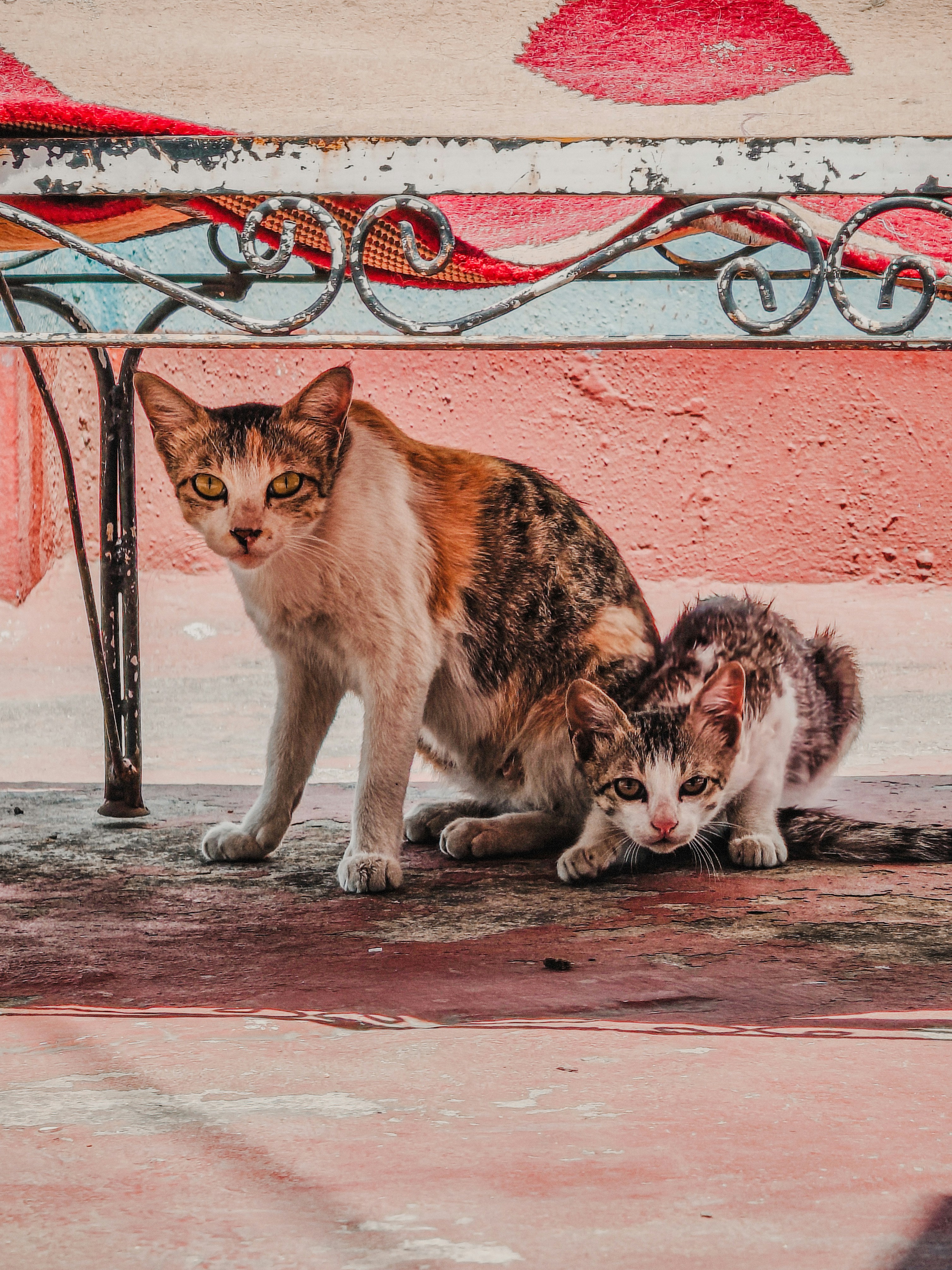 Photo by 5zantrigger