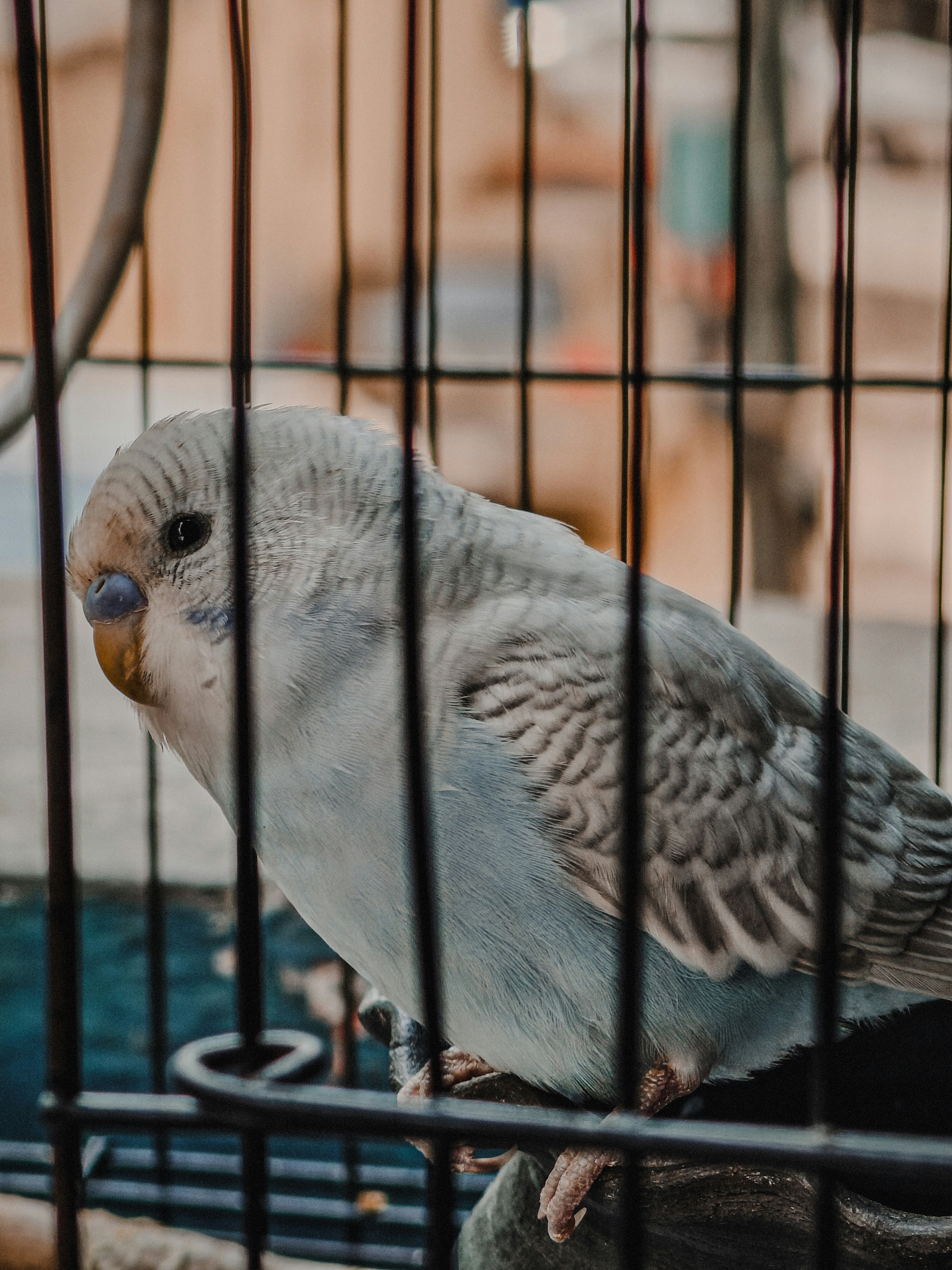 Photo by 5zantrigger