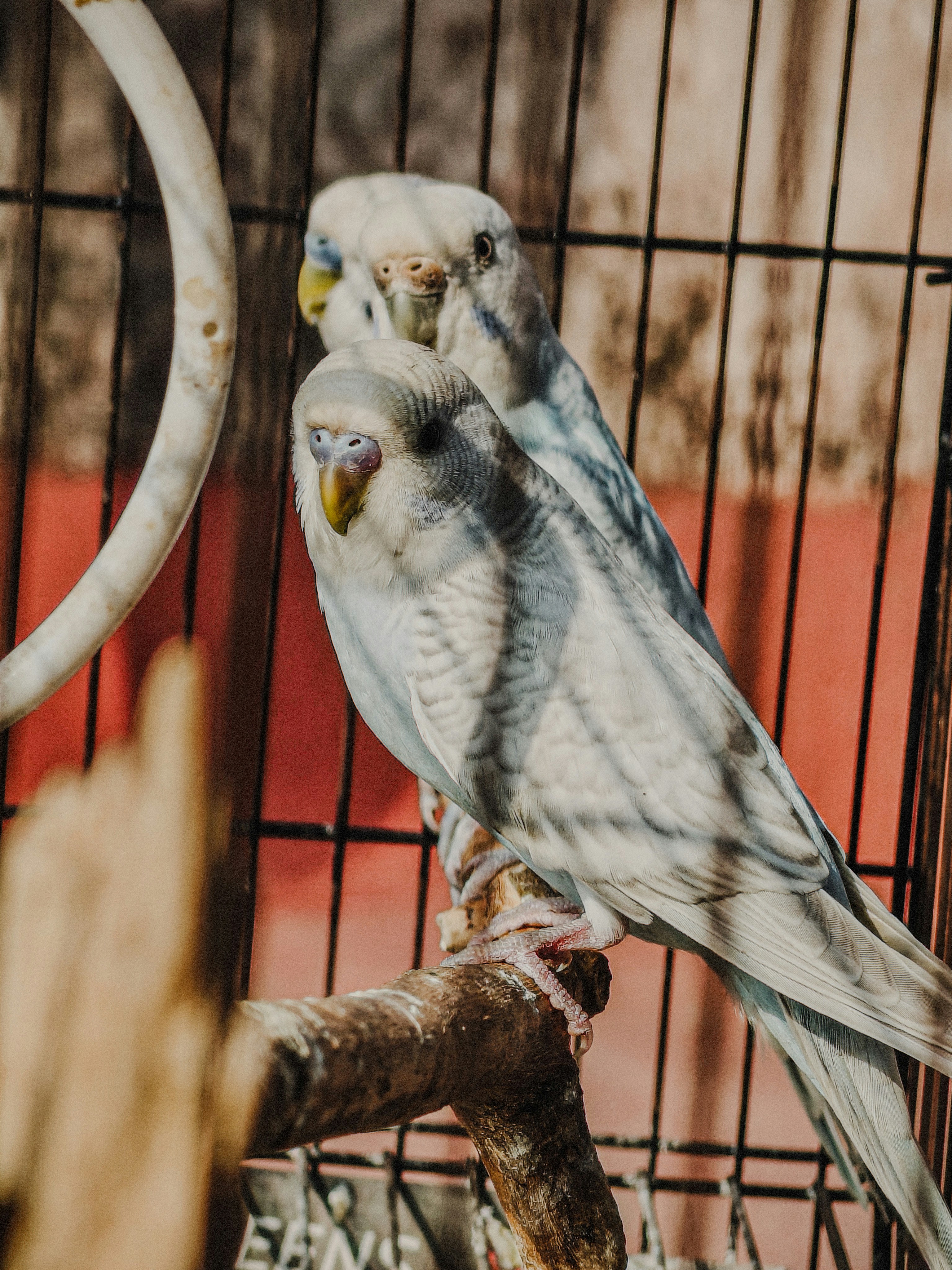 Photo by 5zantrigger