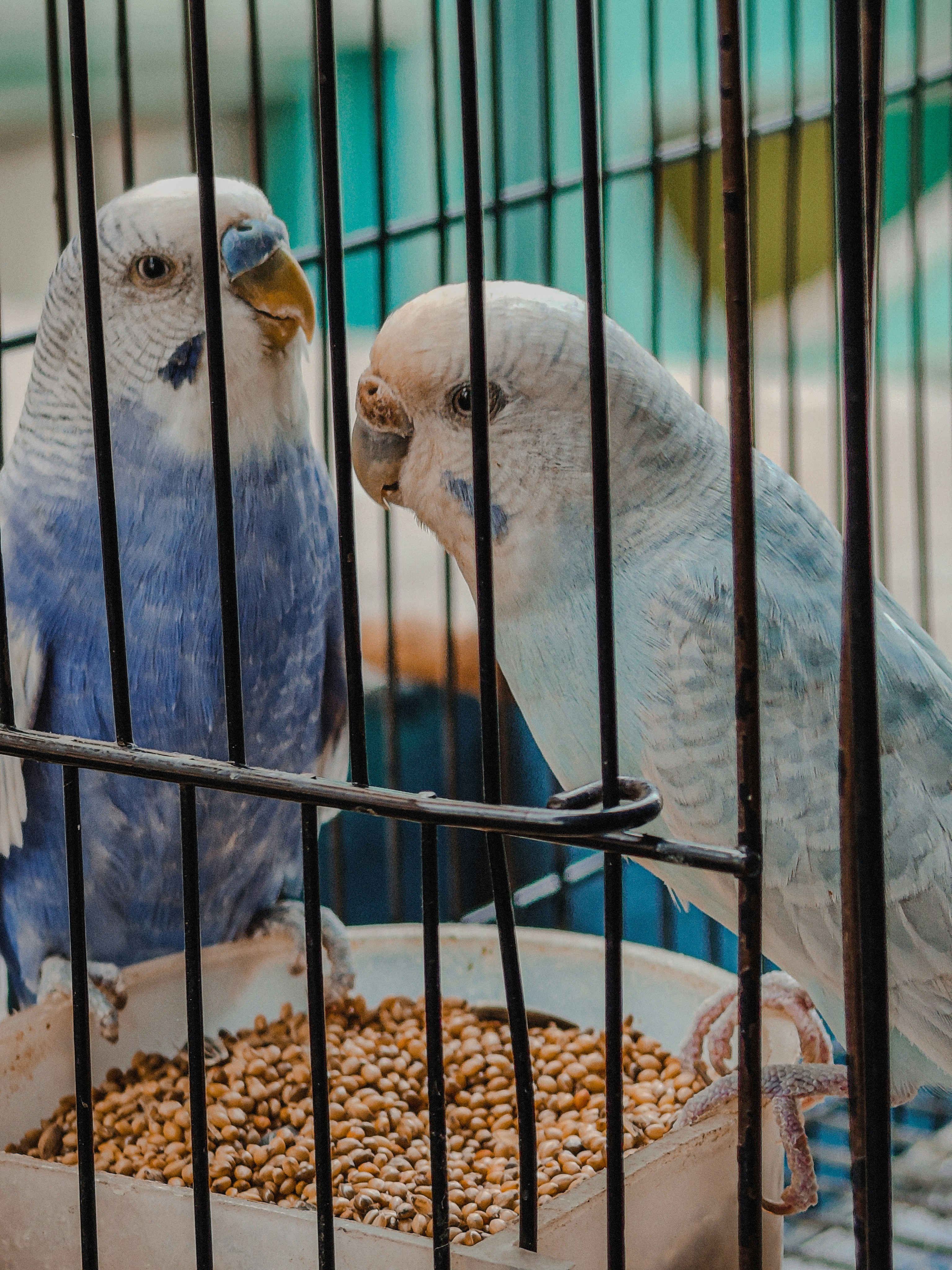 Photo by 5zantrigger