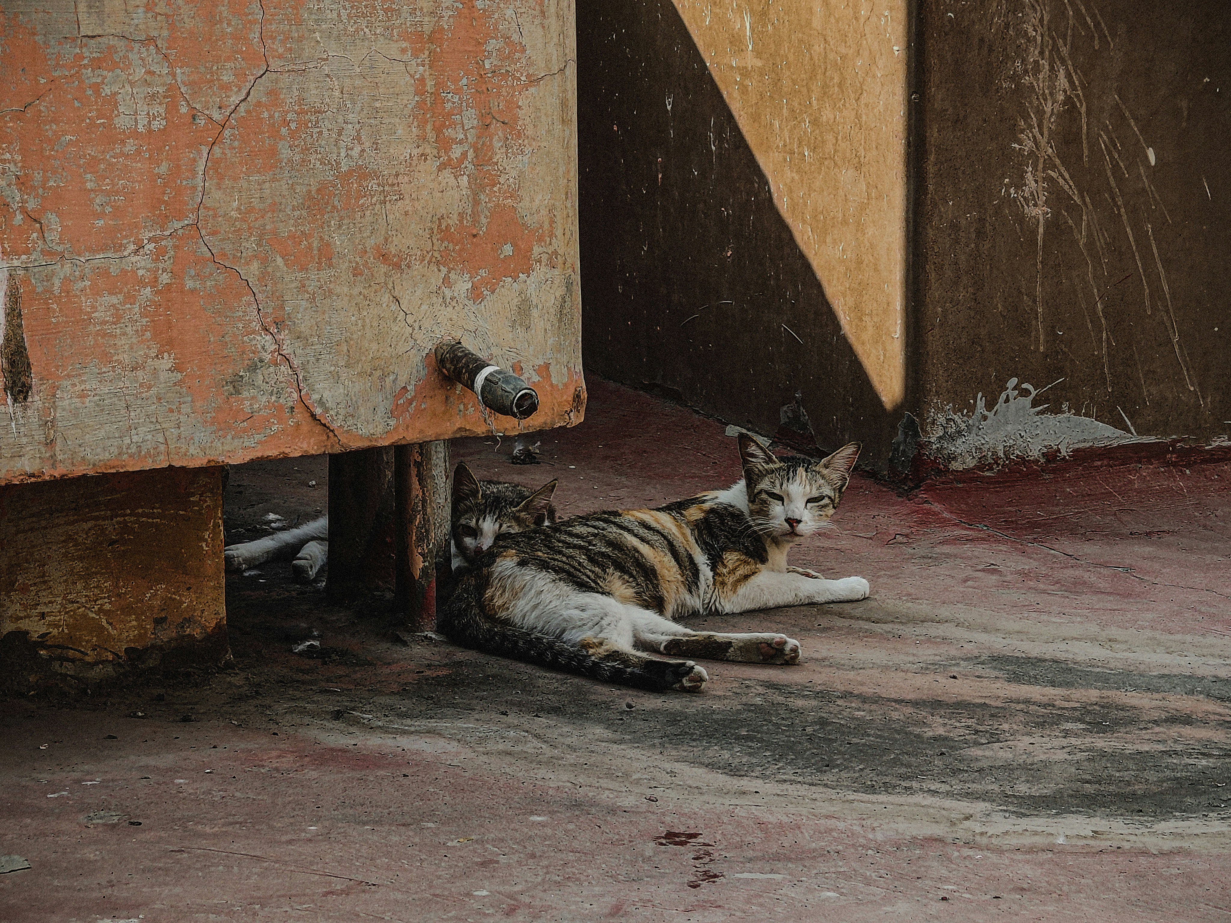 Photo by 5zantrigger