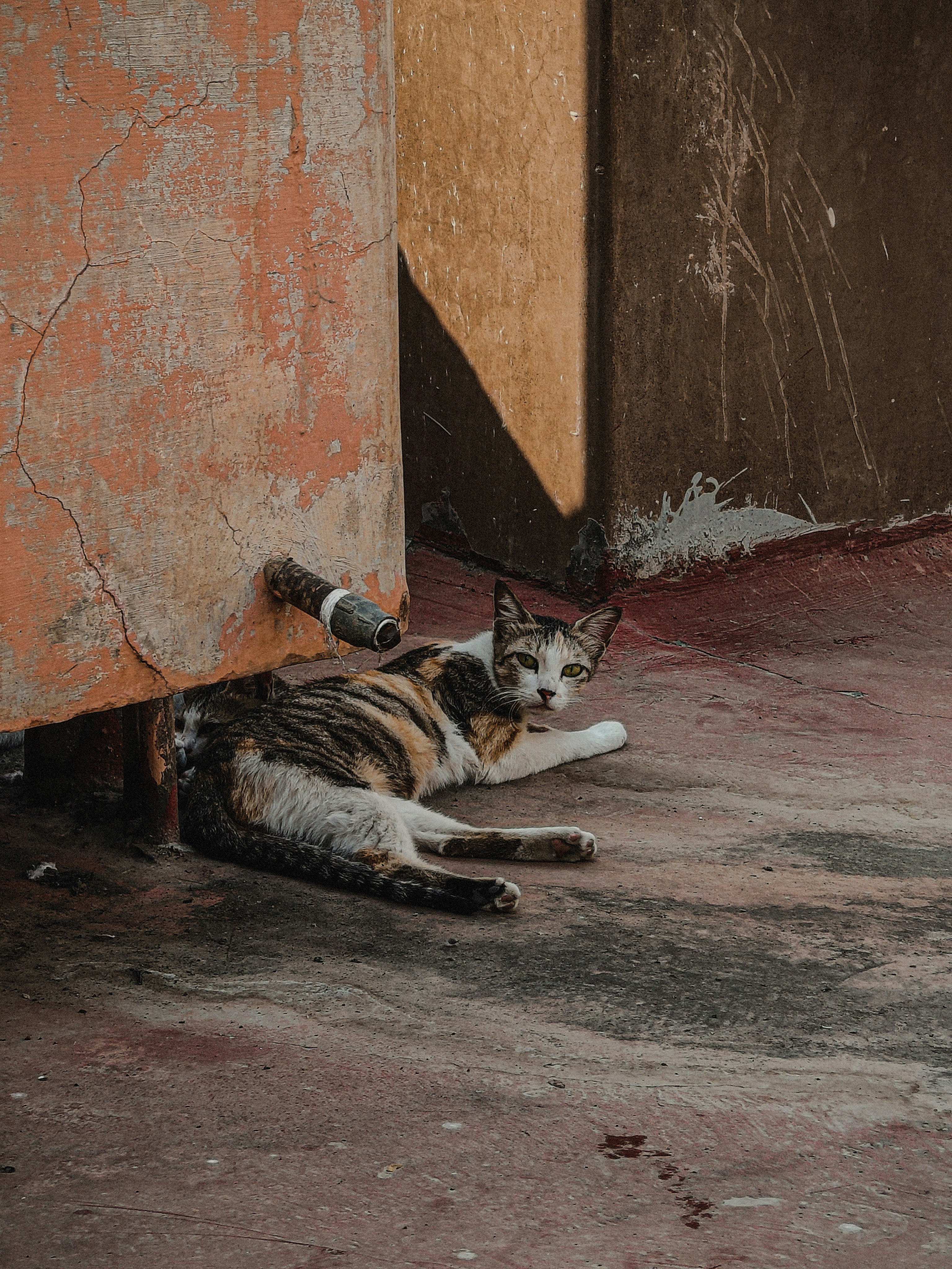 Photo by 5zantrigger