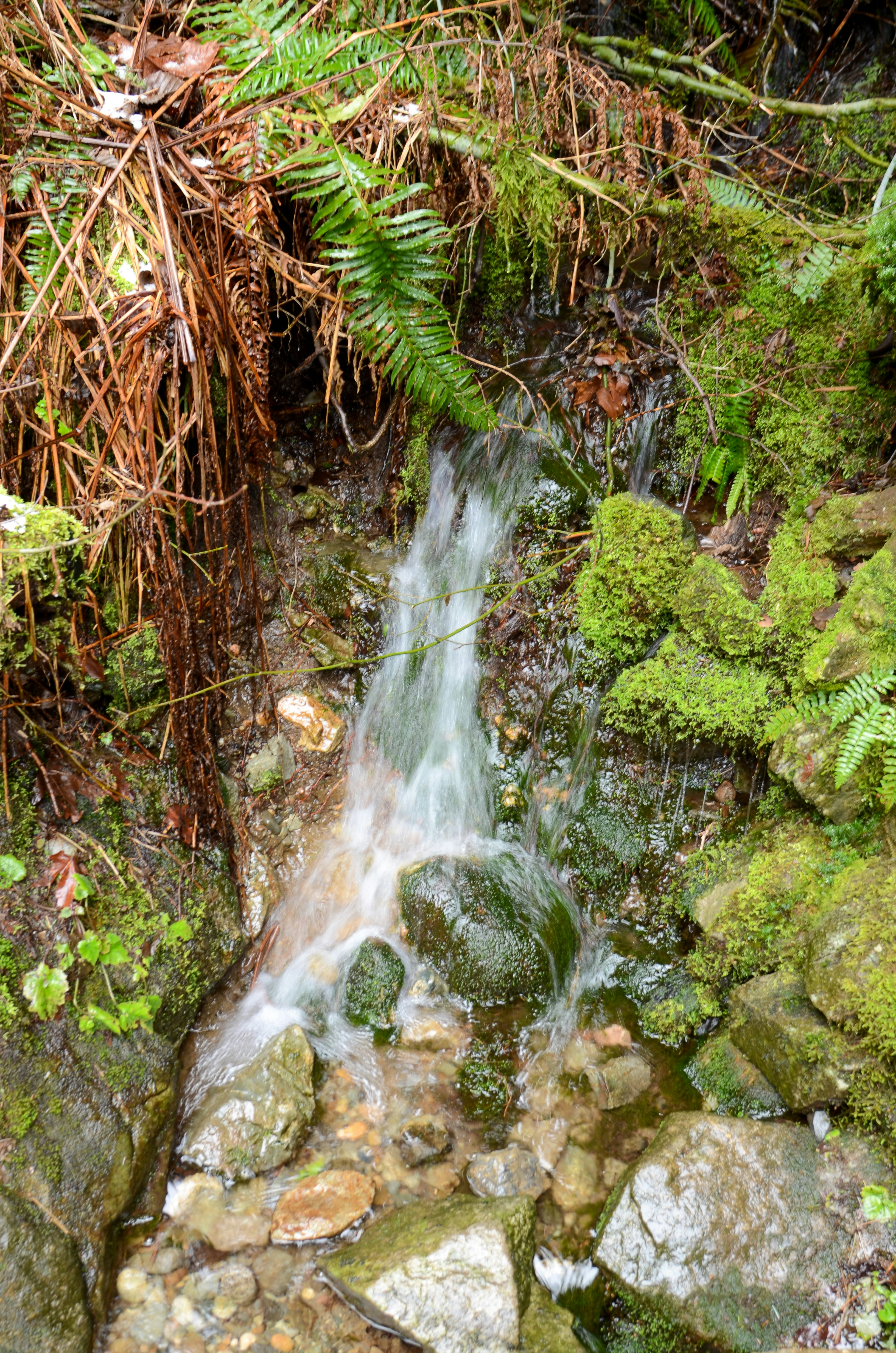 Photo by akshay_madivanan