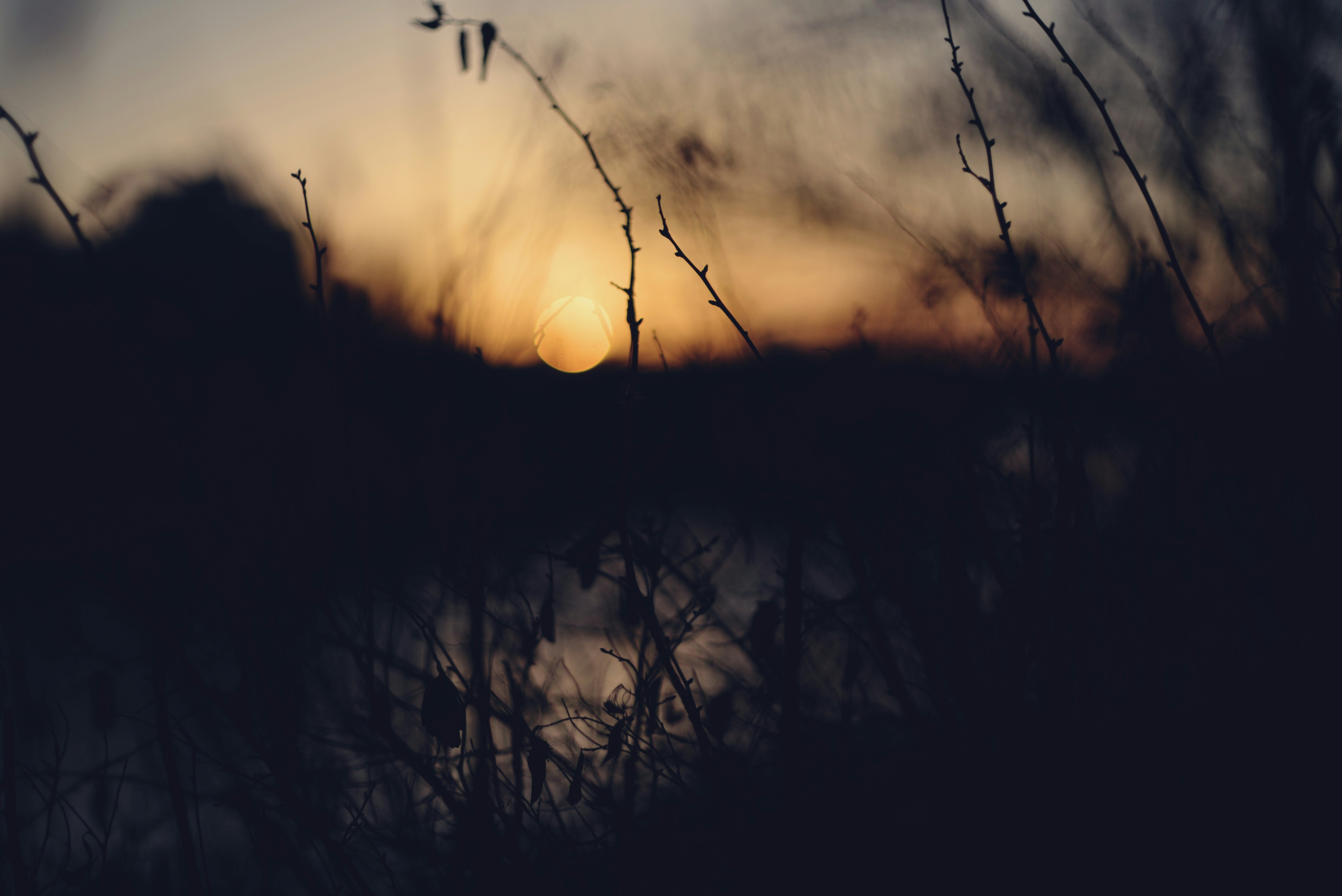 Photo by cherstve_pechivo