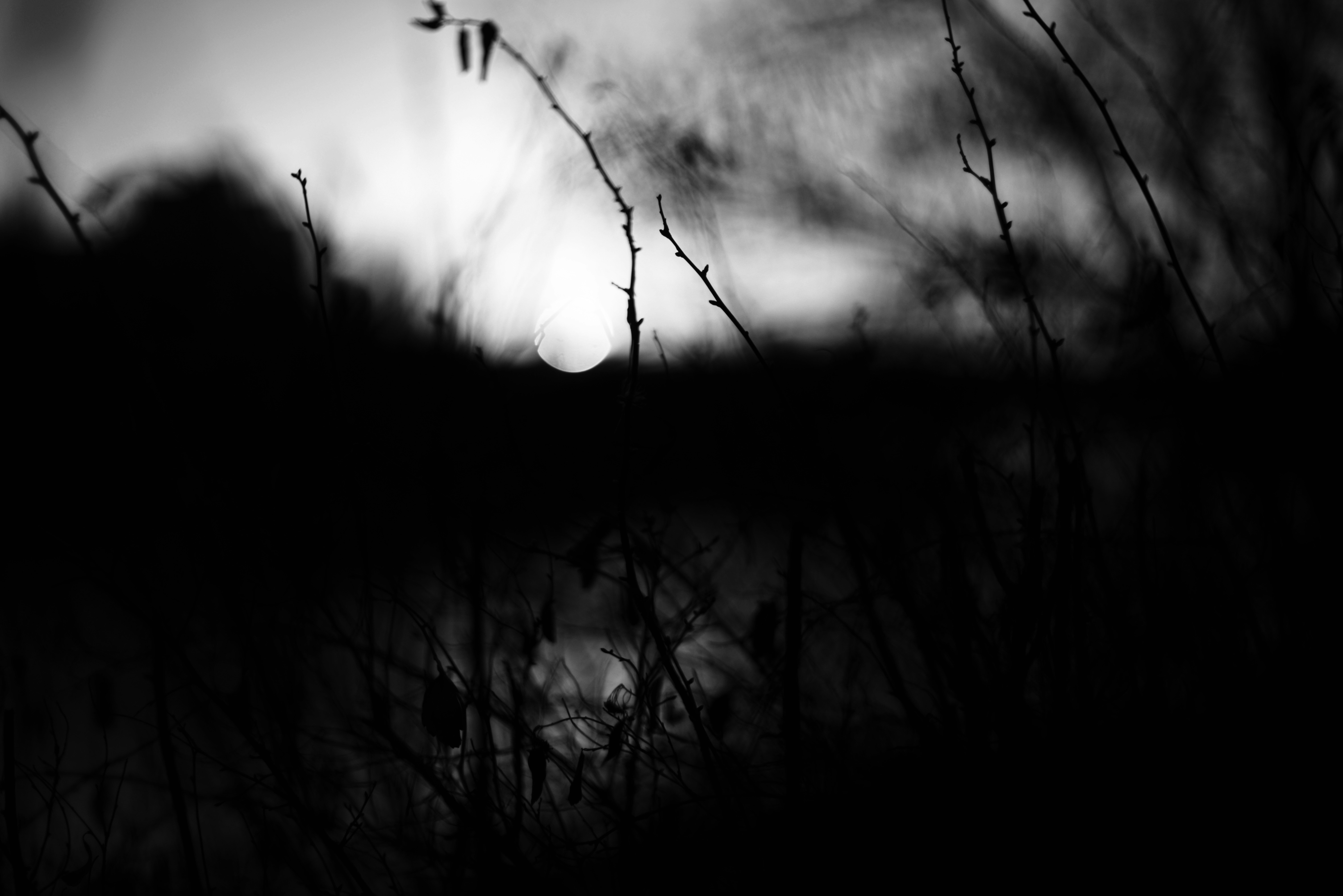 Photo by cherstve_pechivo