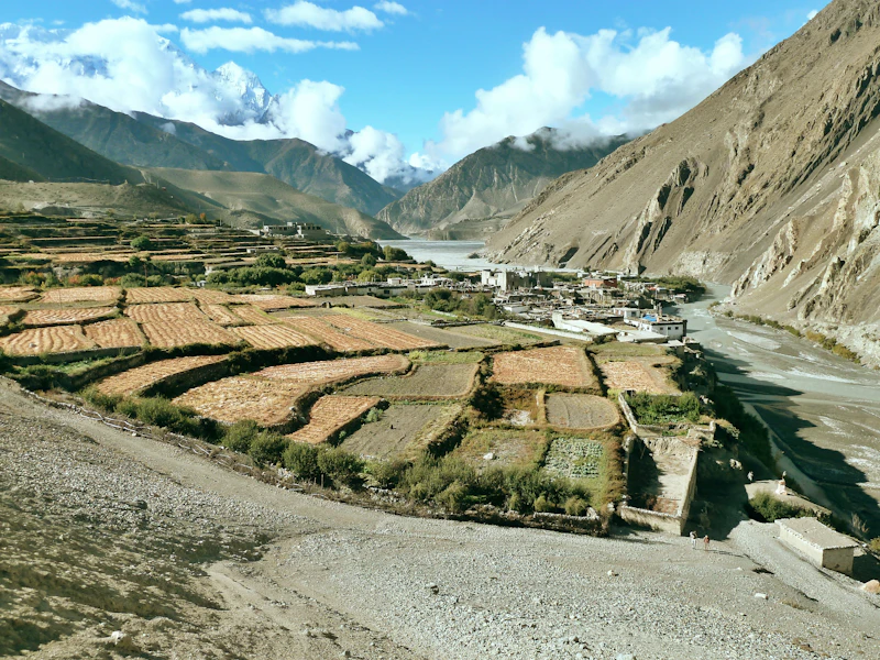 The Complete Travel Guide to Nubra Valley: Everything You Need to Plan Your Trip