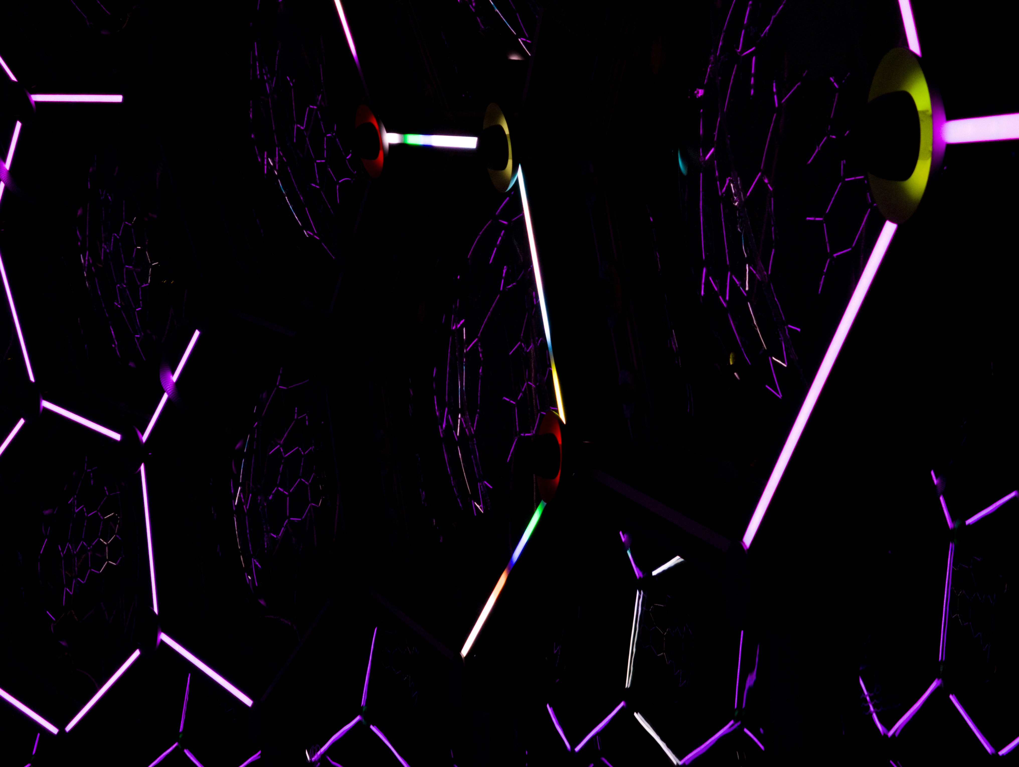 Photo by filipenobre