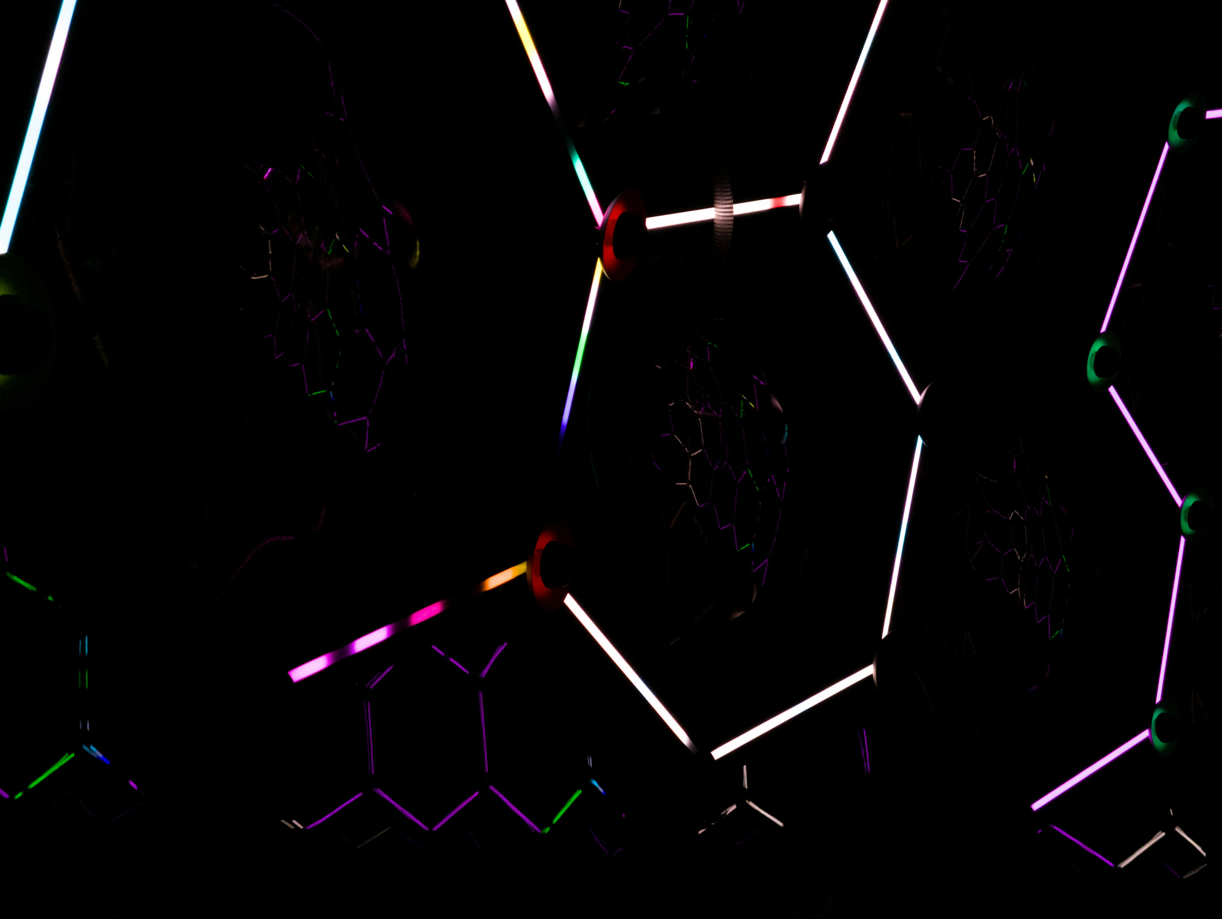 Photo by filipenobre