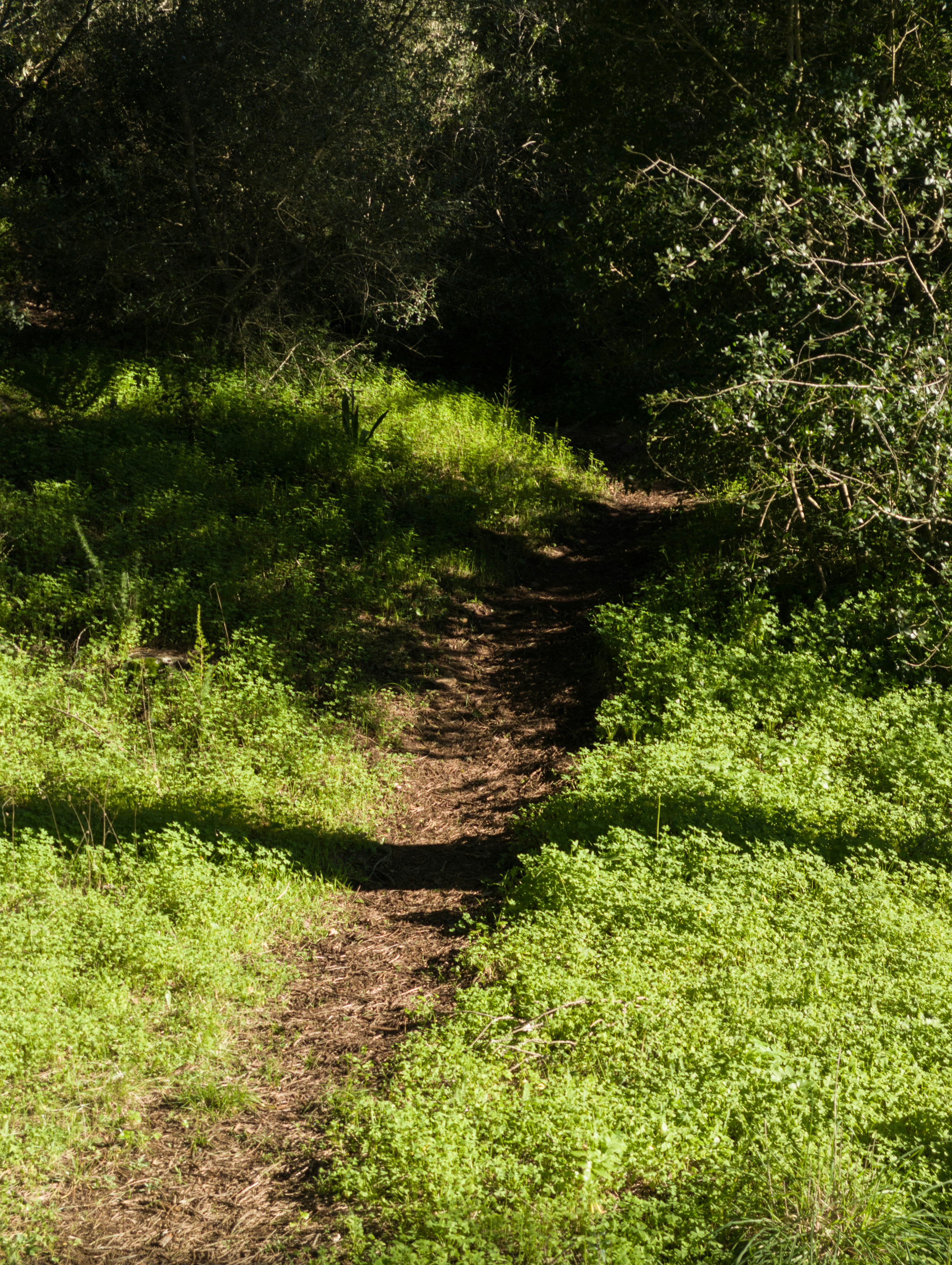 Photo by filipenobre