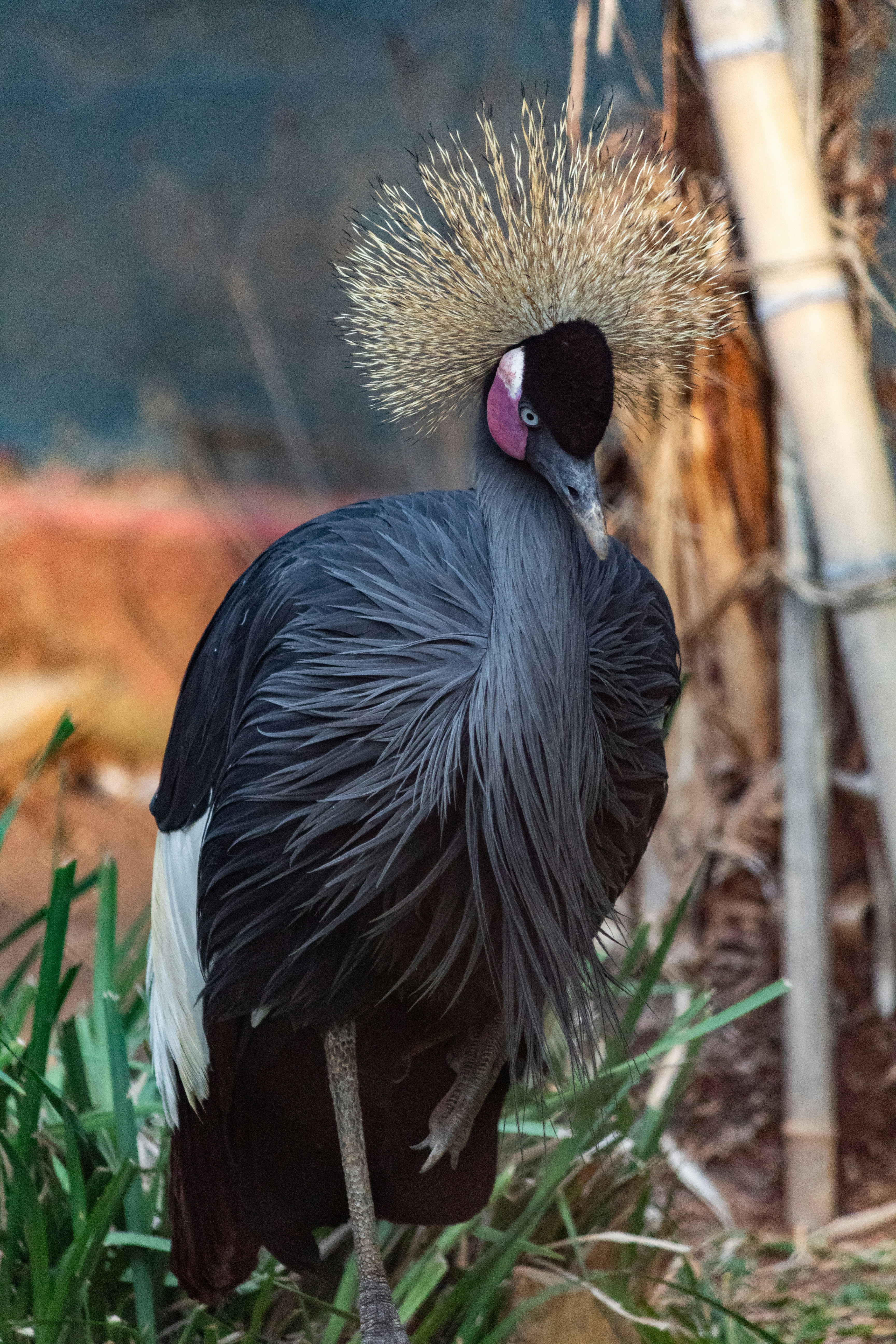 Photo by pedrohenrique_r