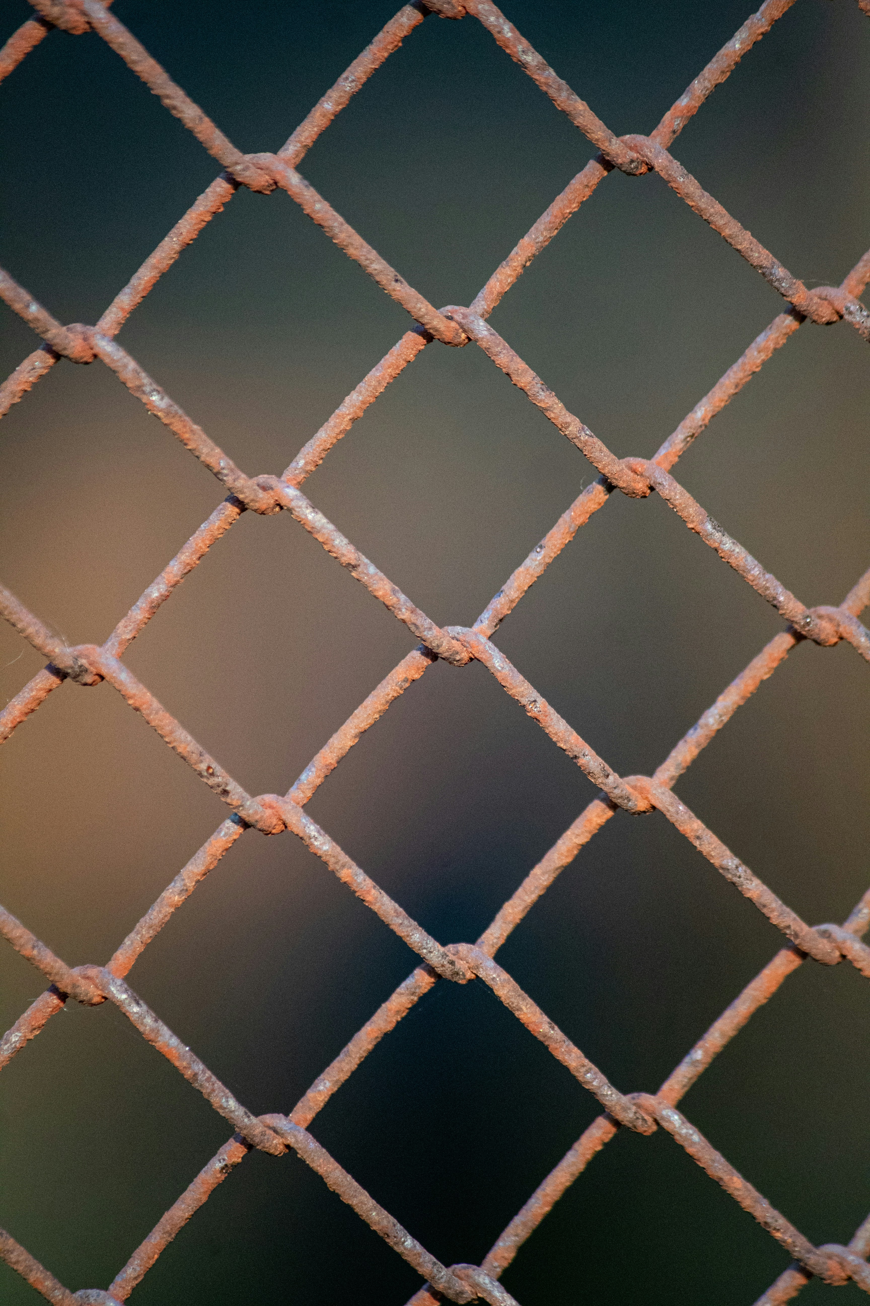 Photo by pedrohenrique_r