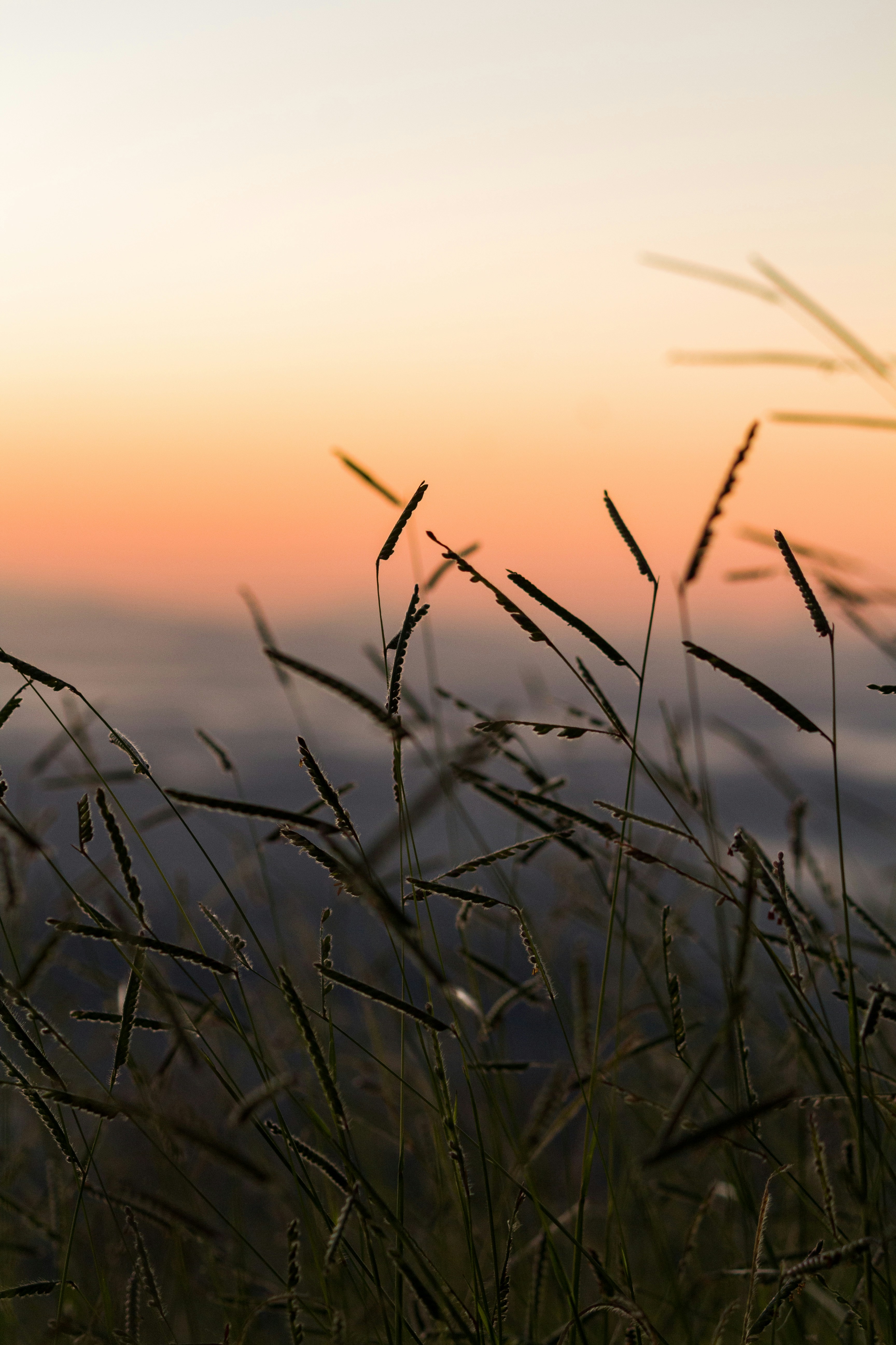 Photo by pedrohenrique_r