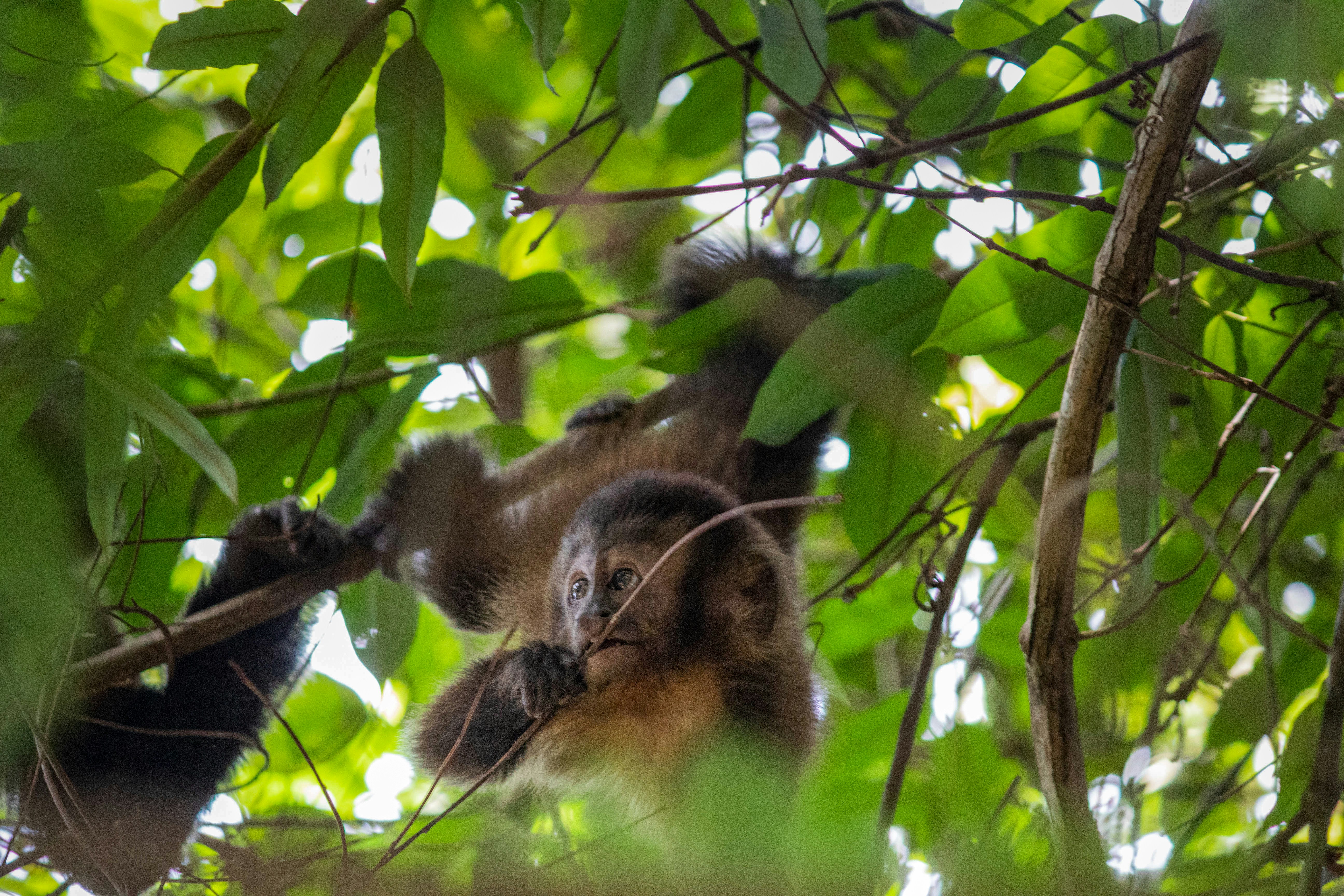 Photo by pedrohenrique_r