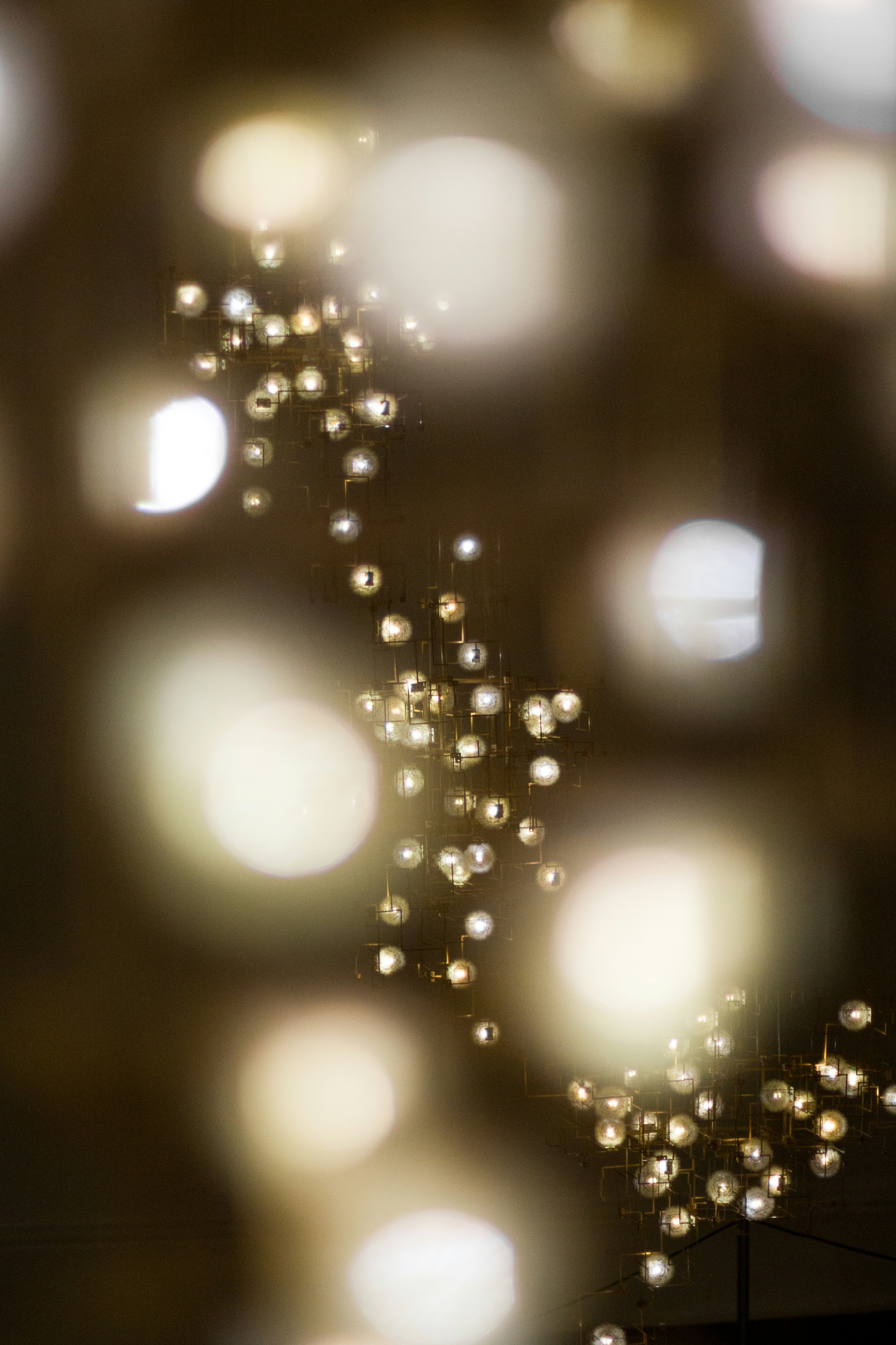 Photo by pedrohenrique_r