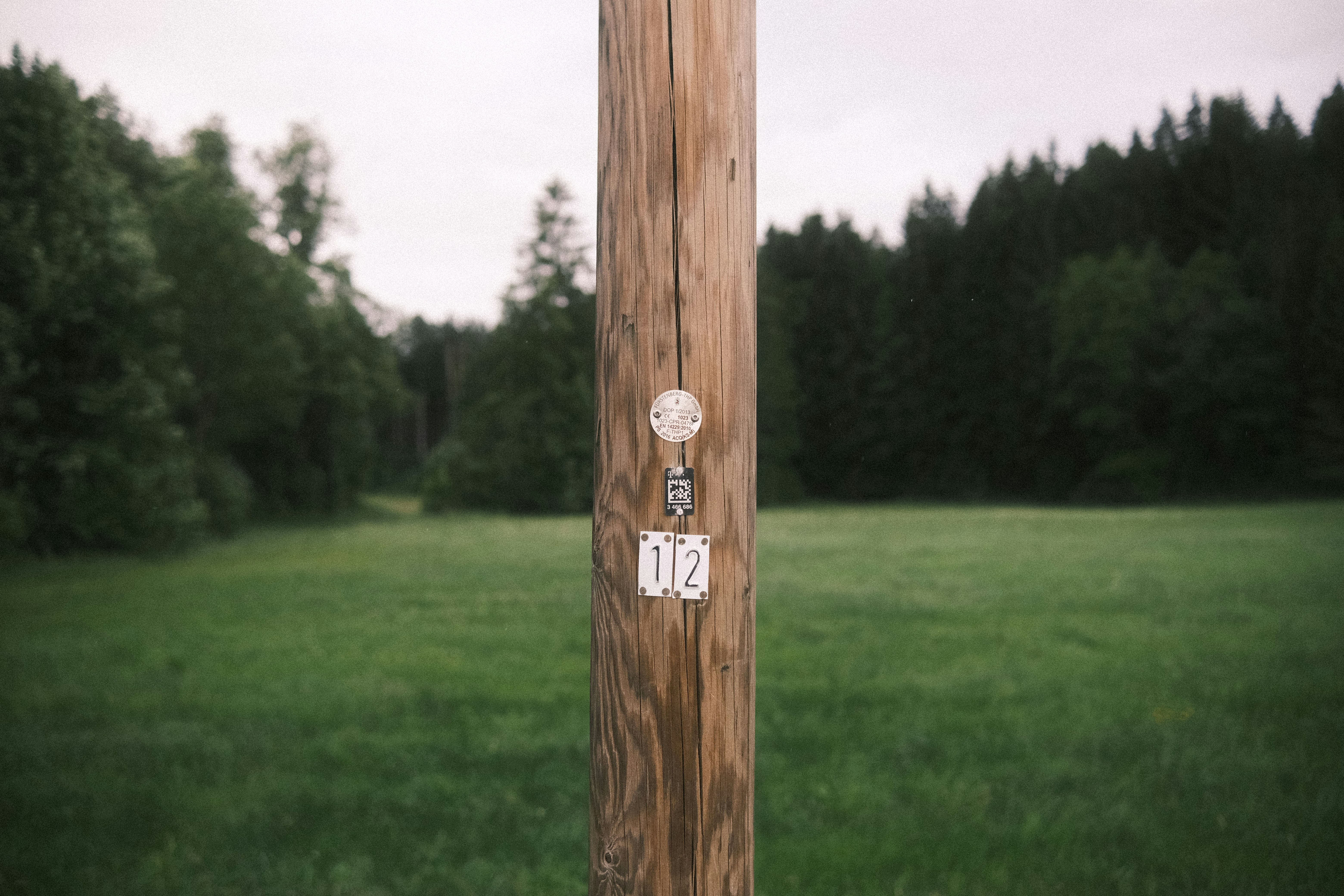 Wooden pole with numbers in a grassy field.