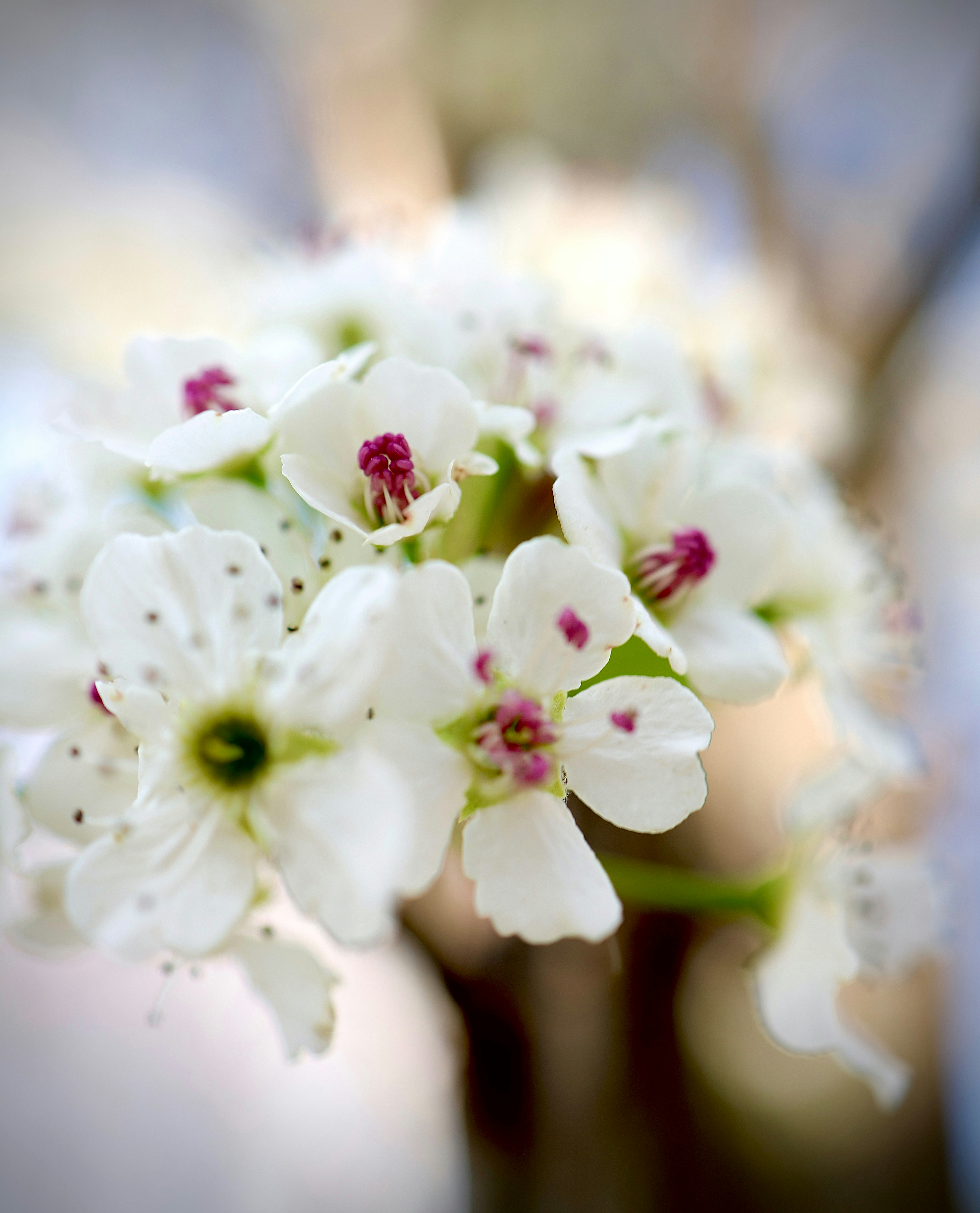 Photo by destinfilmz