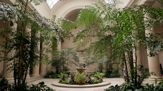 Indoor courtyard with lush green trees and fountain.