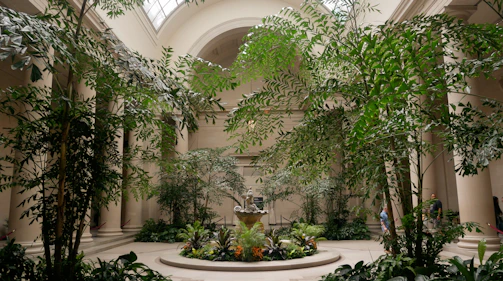 Indoor courtyard with lush green trees and fountain.