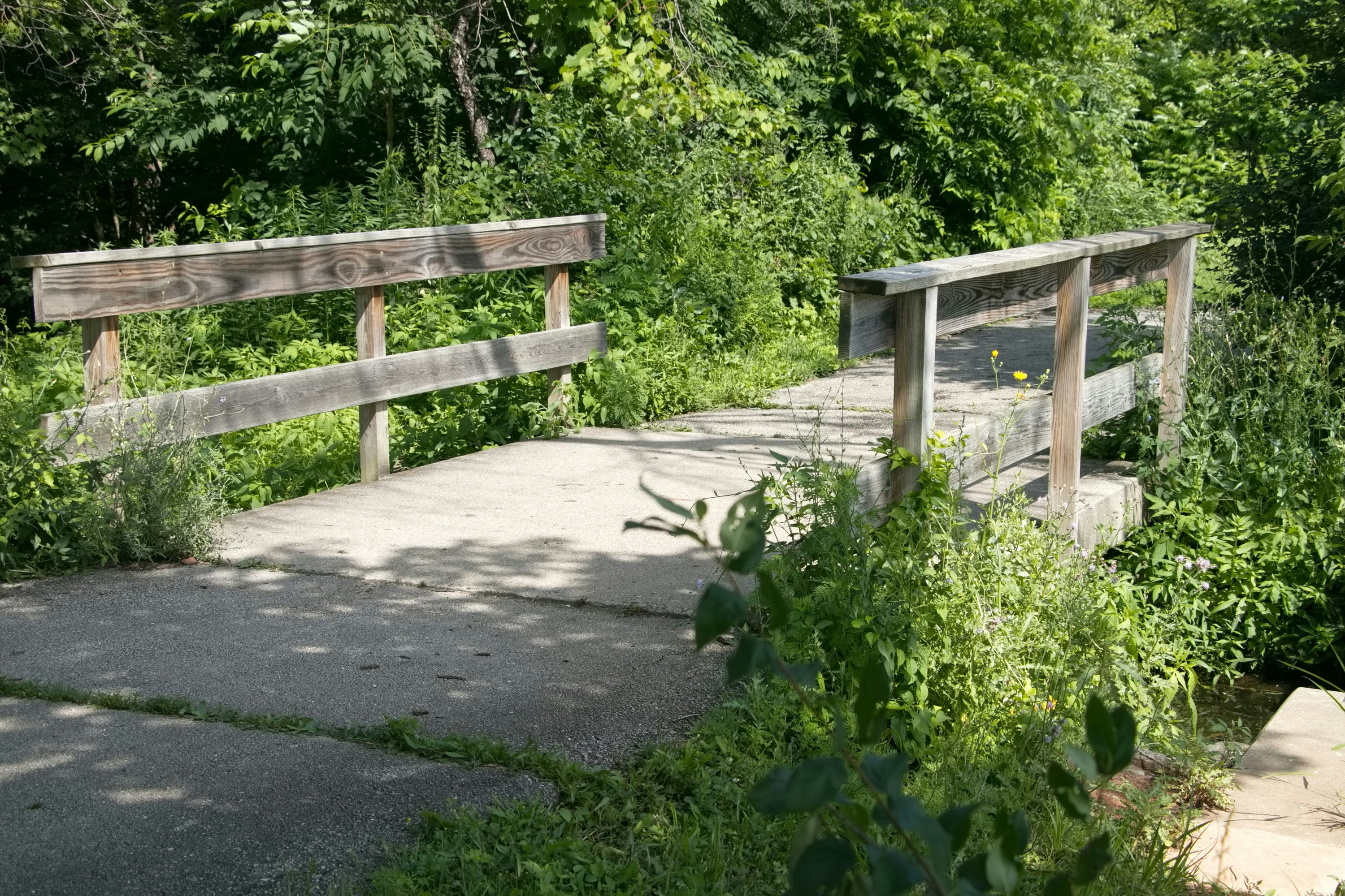 A wooden footbridge crosses a small stream in a forest.