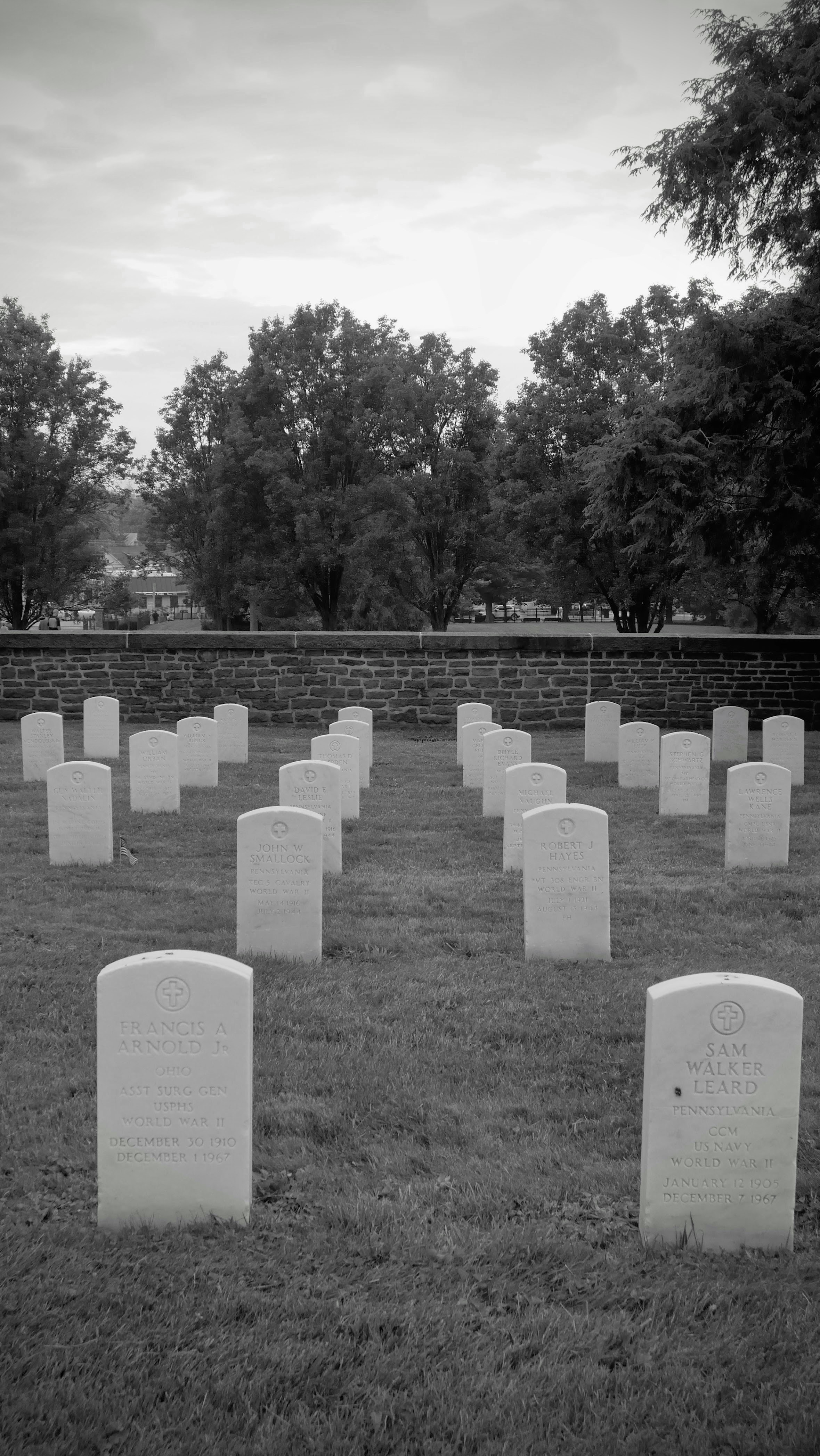 Rows of white headstones in a cemetery