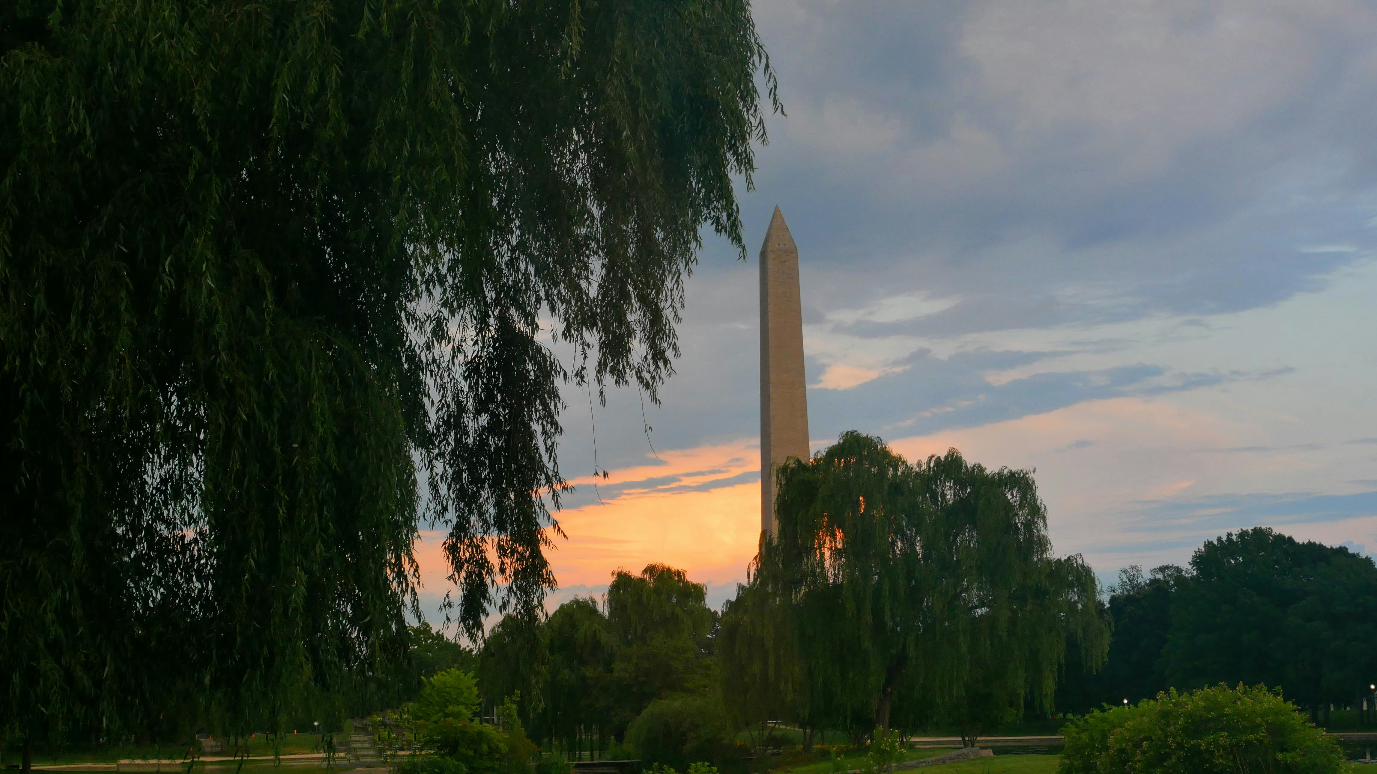 Washington monument at sunset with trees in foreground.